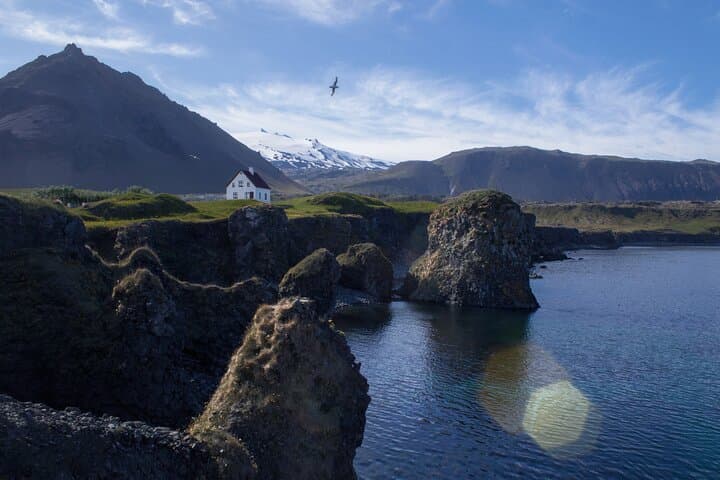 Snæfellsnes en español con almuerzo incluido en una granja en minibus - photo 2