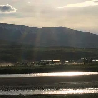 Horse Riding Tour and Explore Scenery in Gásir Akureyri - photo 10