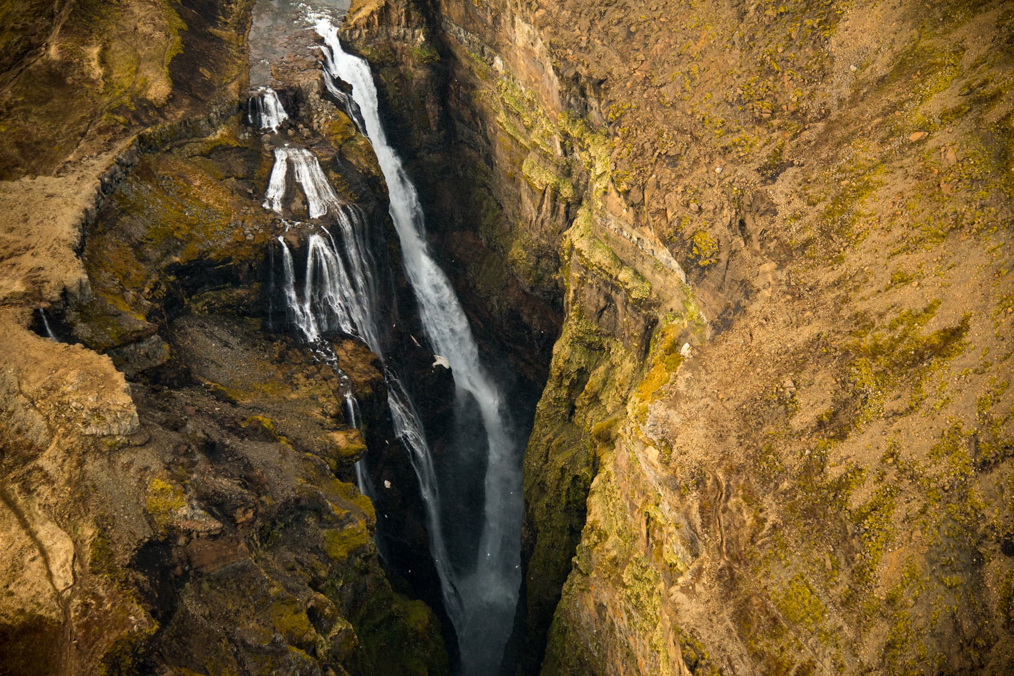 Glacier Expedition  - photo 8