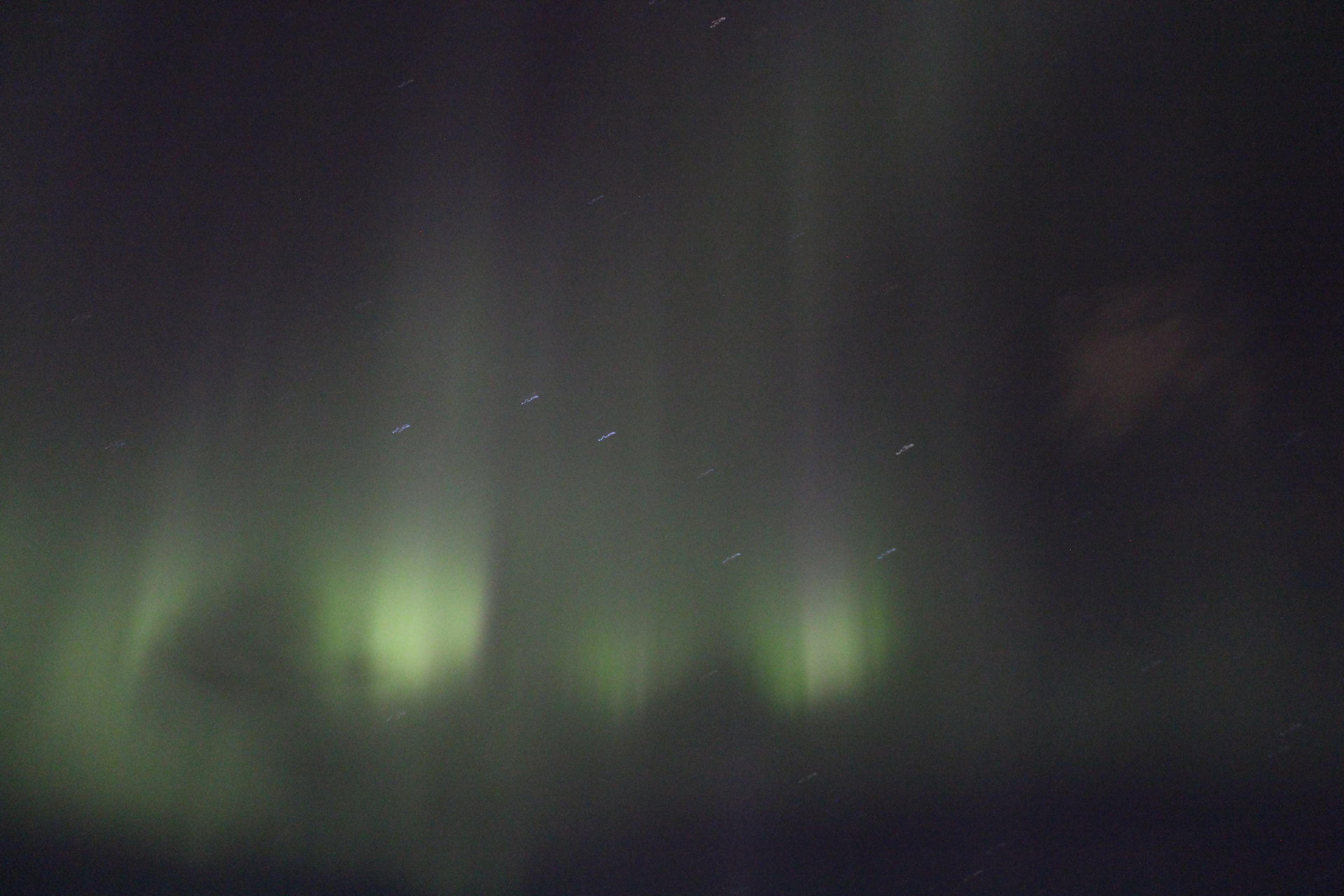 Whale Watching & Northern lights Combo Cruise from Reykjavik - photo 67