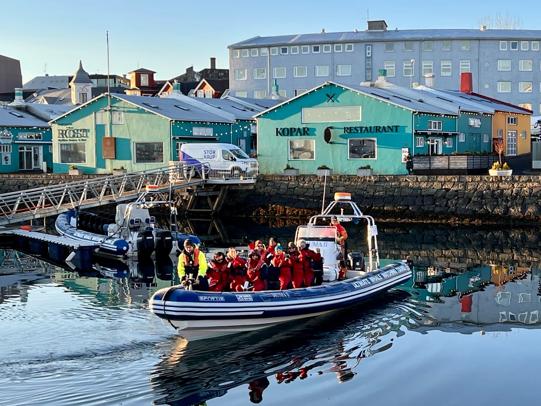 Reykjavík Premium Whale Watching - photo 29
