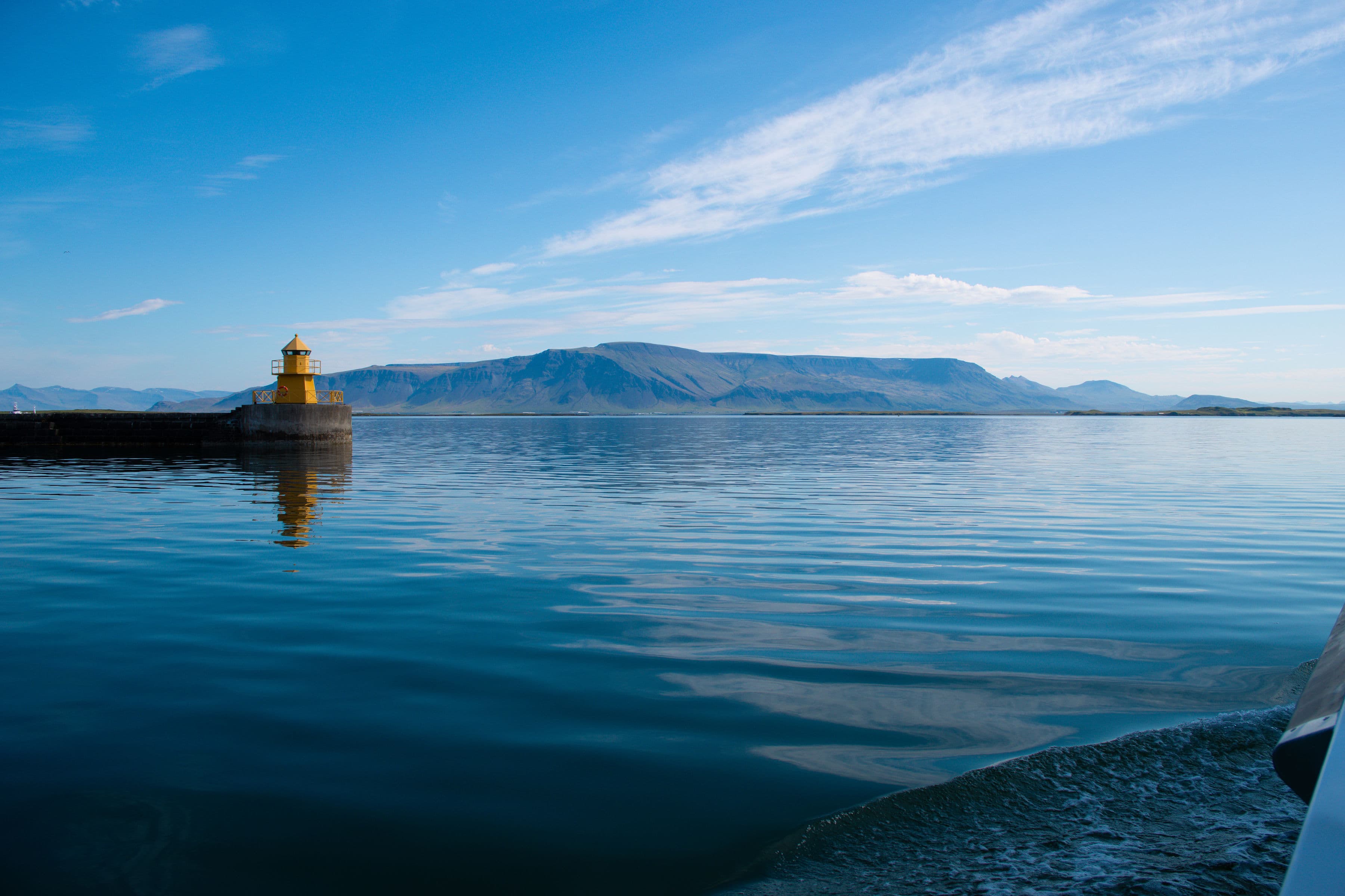 Whale Wonders: Morning Expedition - photo 19