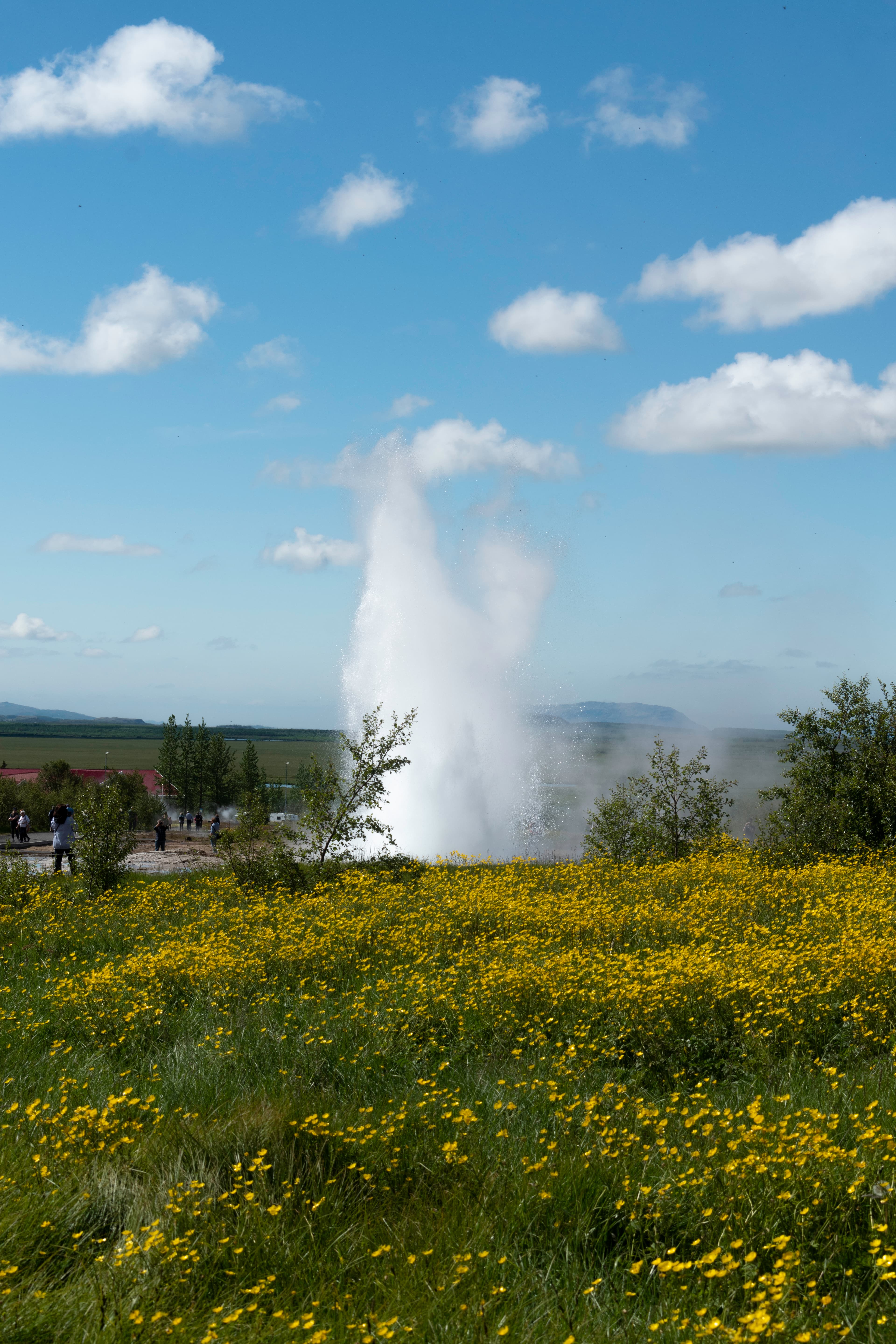 Private tour: Golden Circle and Farm Lunch in Minivan - photo 4