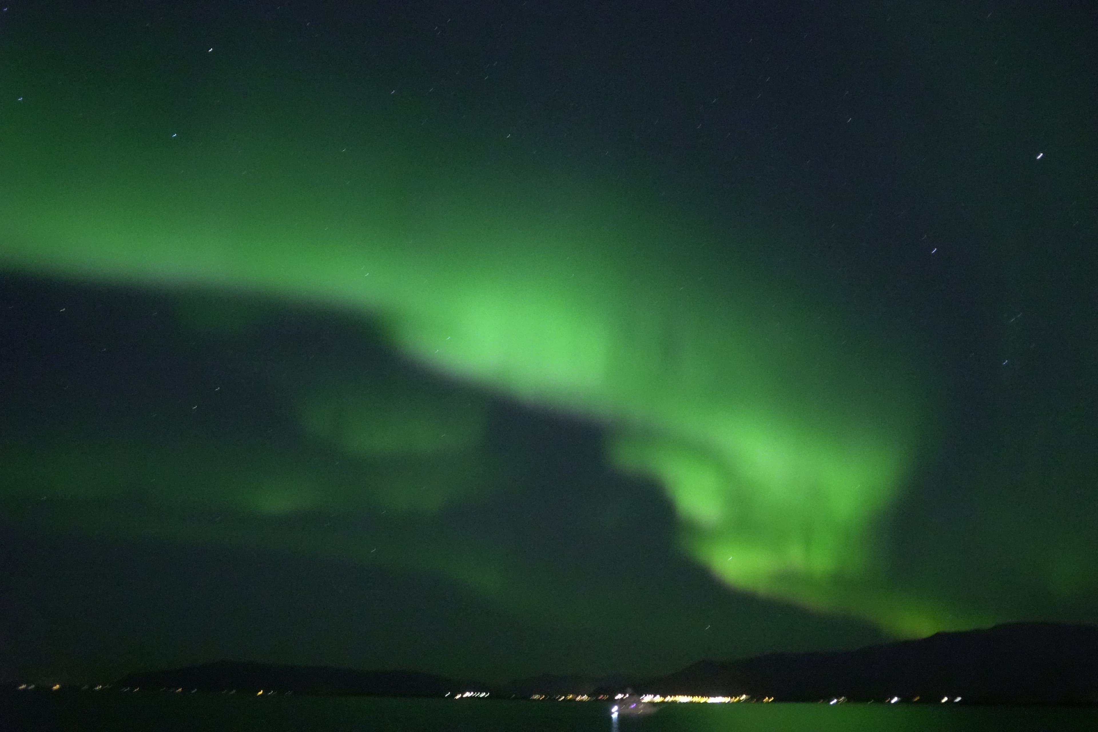Whale Watching & Northern lights Combo Cruise from Reykjavik - photo 79