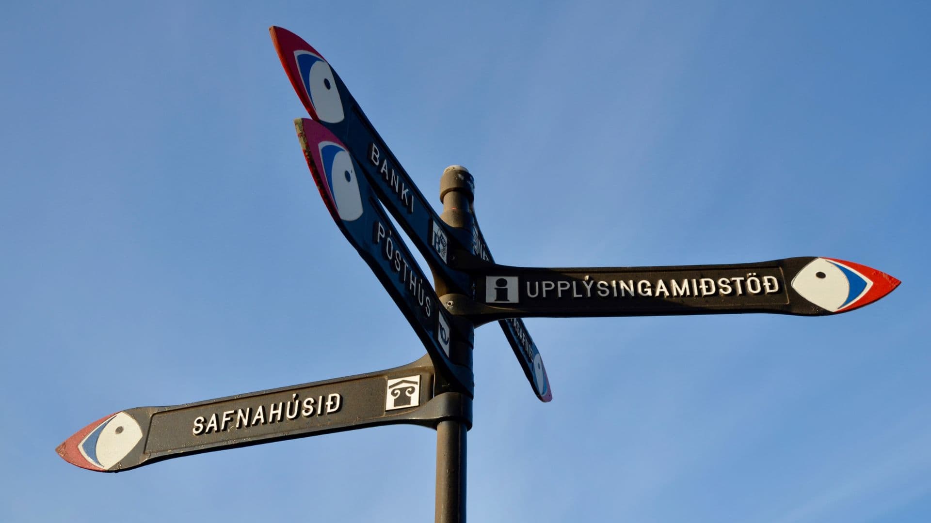 Private Westman Islands Day Tour - photo 7