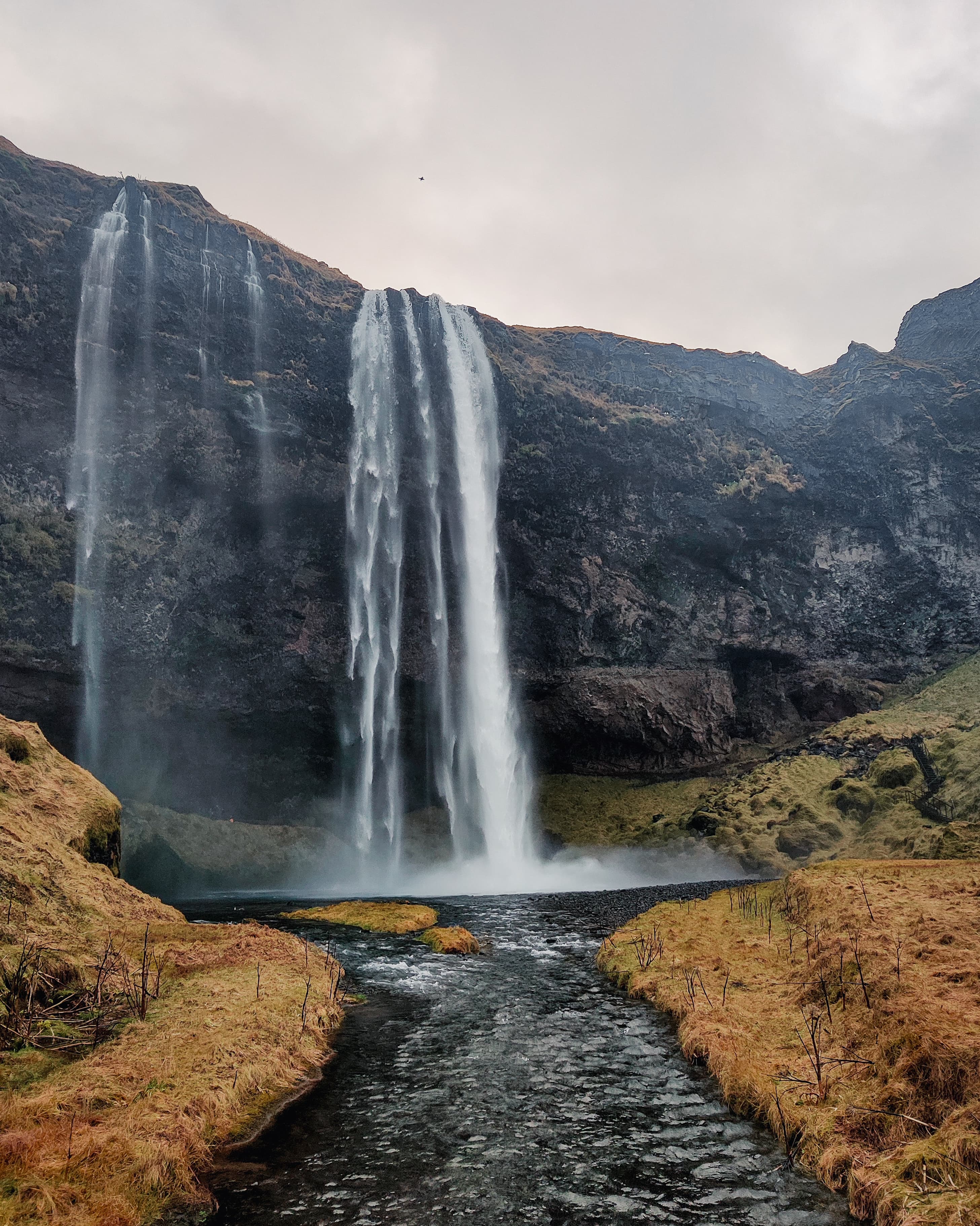 Costa Sur de Islandia en español - Minibús - photo 2
