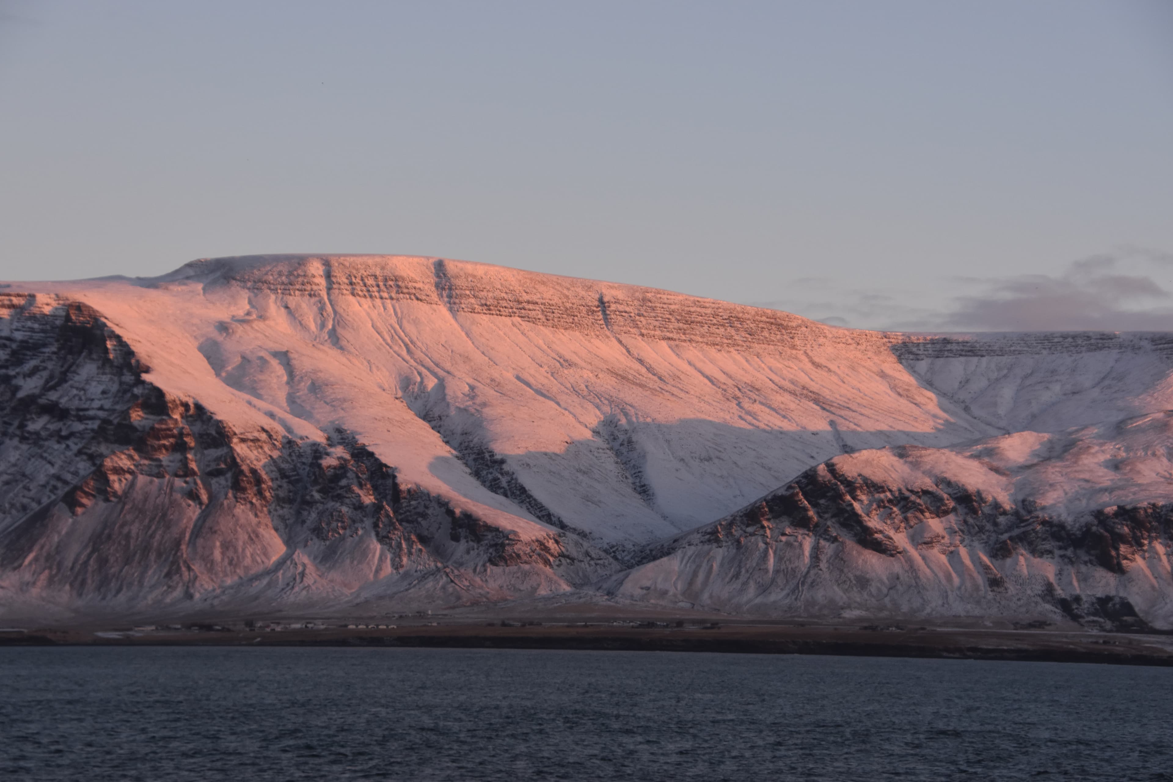 Reykjavík Whales & Northern Lights - photo 22