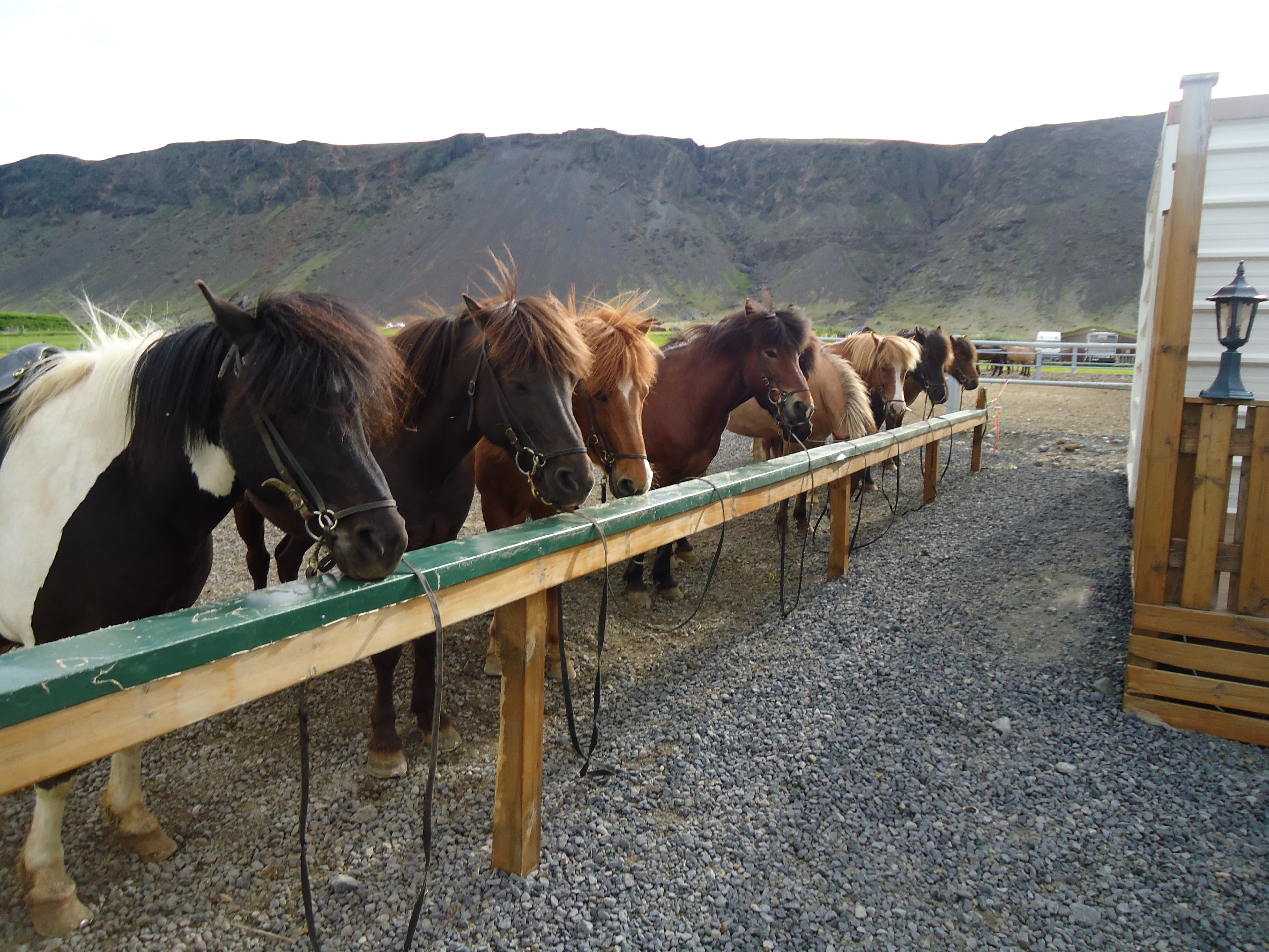 1 Hour Hotspring Valley Riding  - photo 2