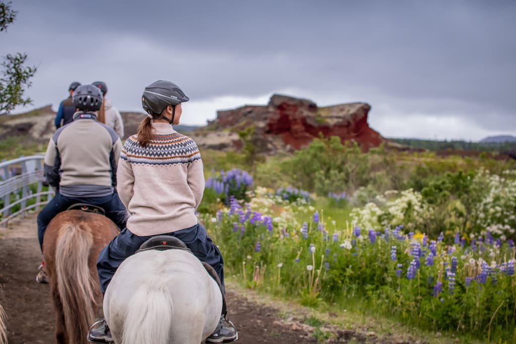 Viking Horses Morning Tour - photo 5