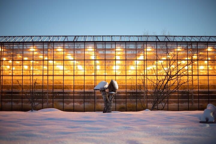 Golden Circle and Waterfalls, with Friðheimar Farm and Kerið in small group - photo 12