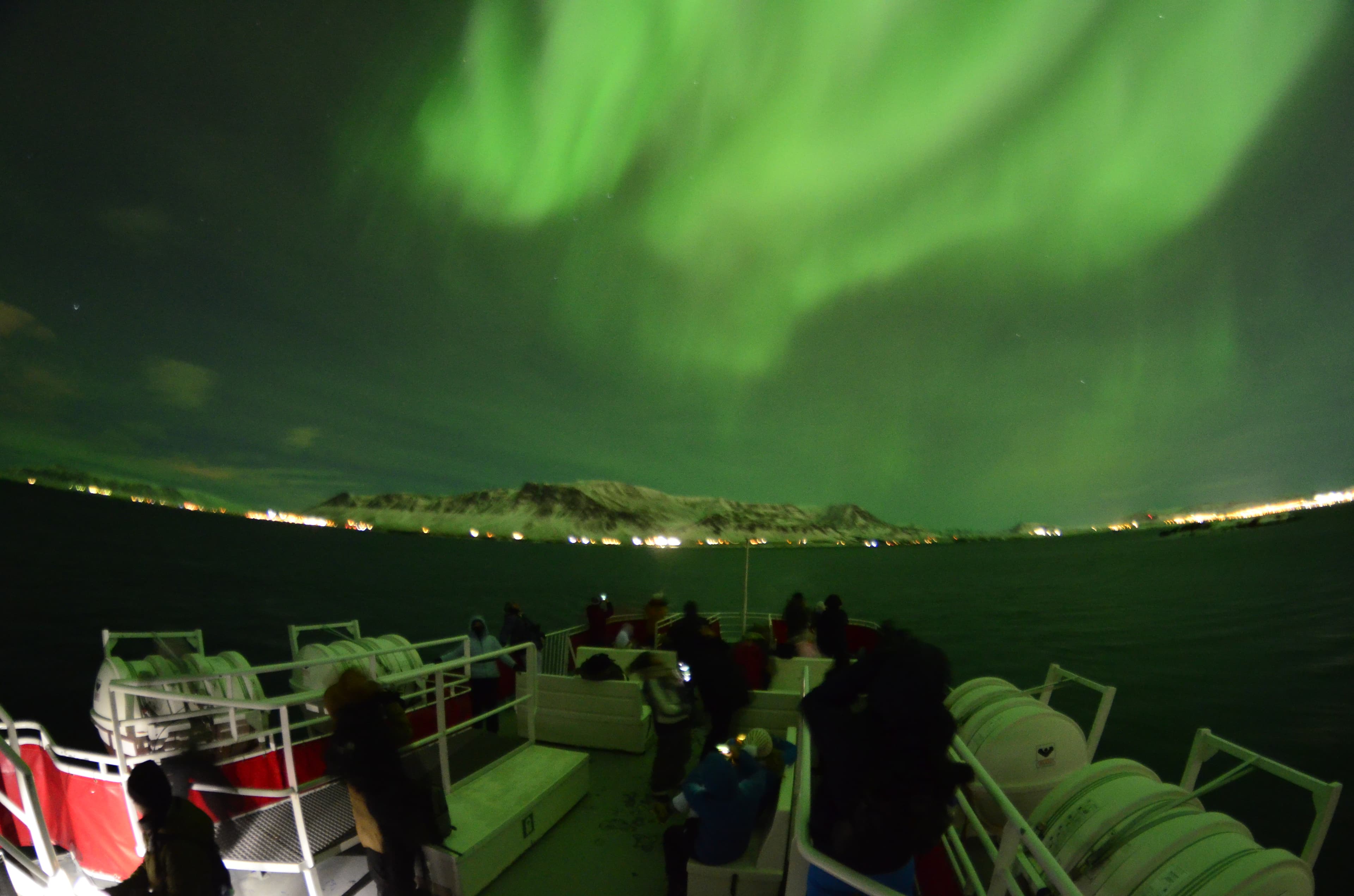 Reykjavík Northern Lights & City Cruise - photo 14