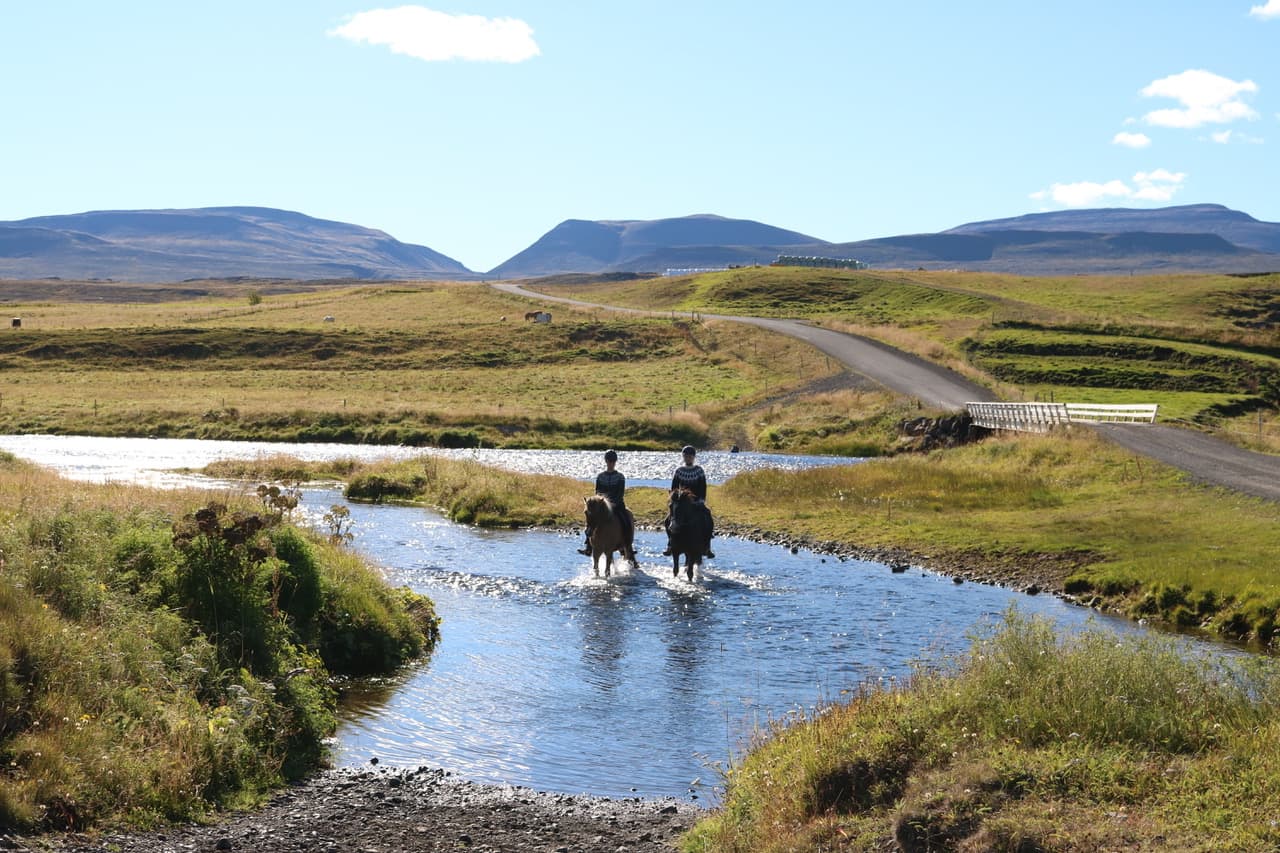 Pleasure in every hoof step - photo 13