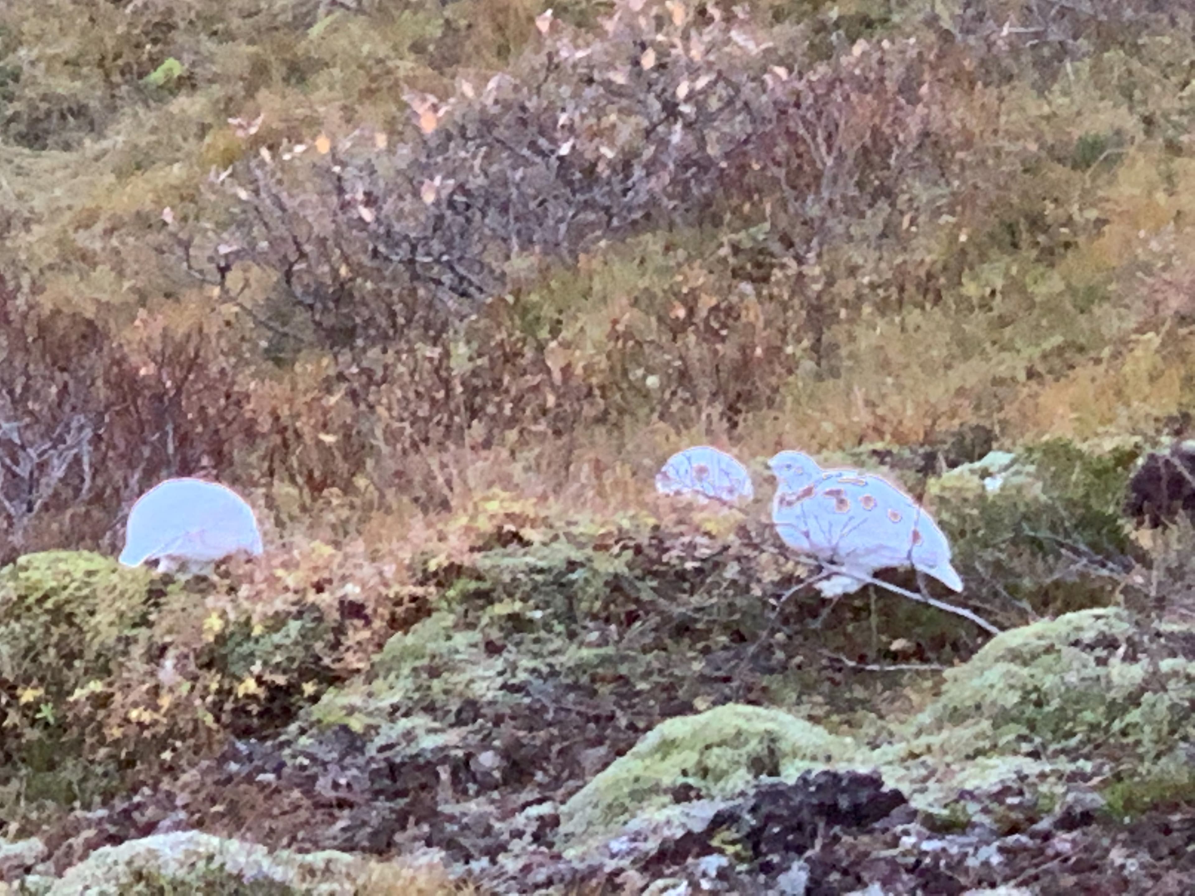 Private Super Jeep with driver guide - photo 18