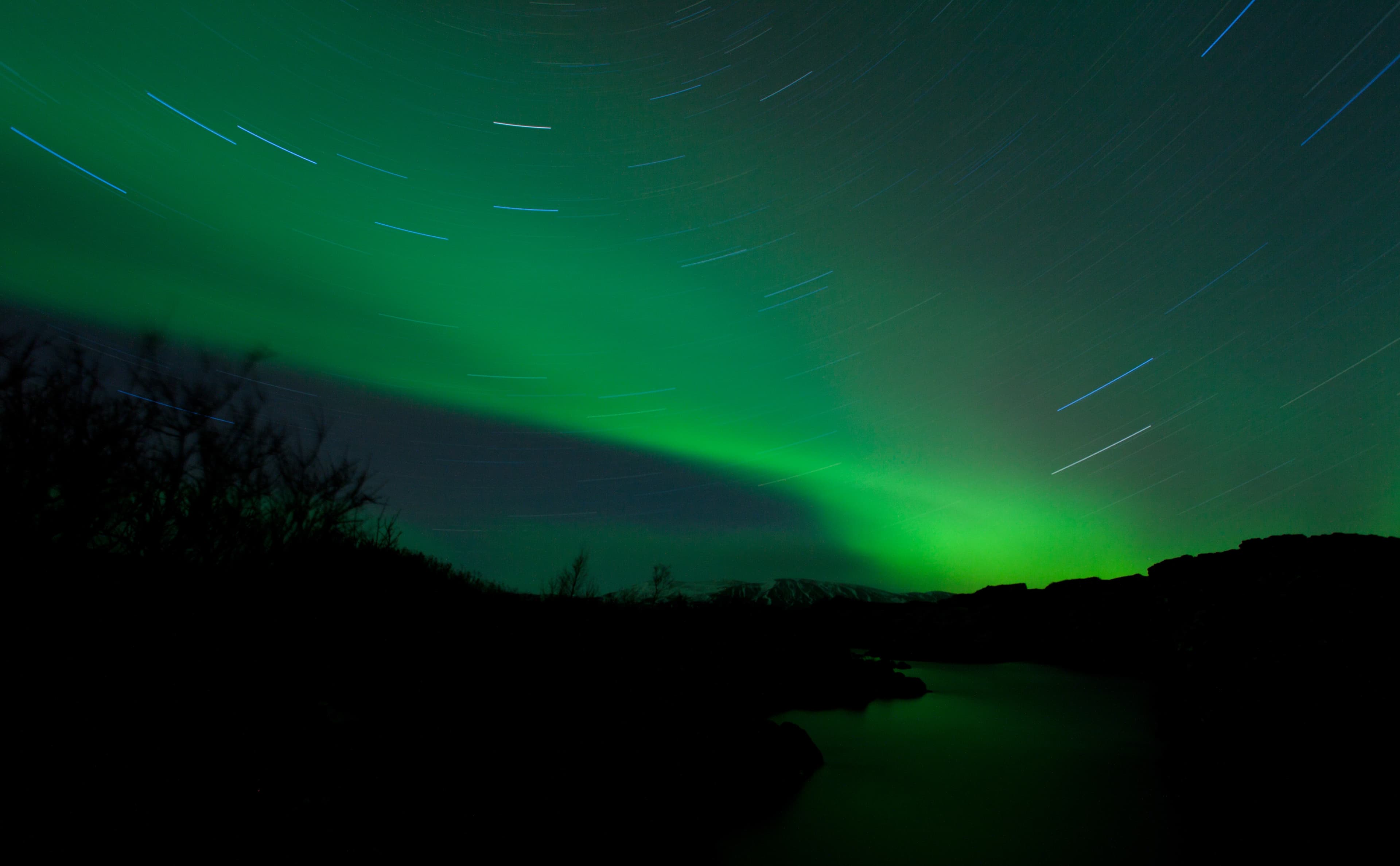 Whale Watching and Northern Lights from Reykjavík
