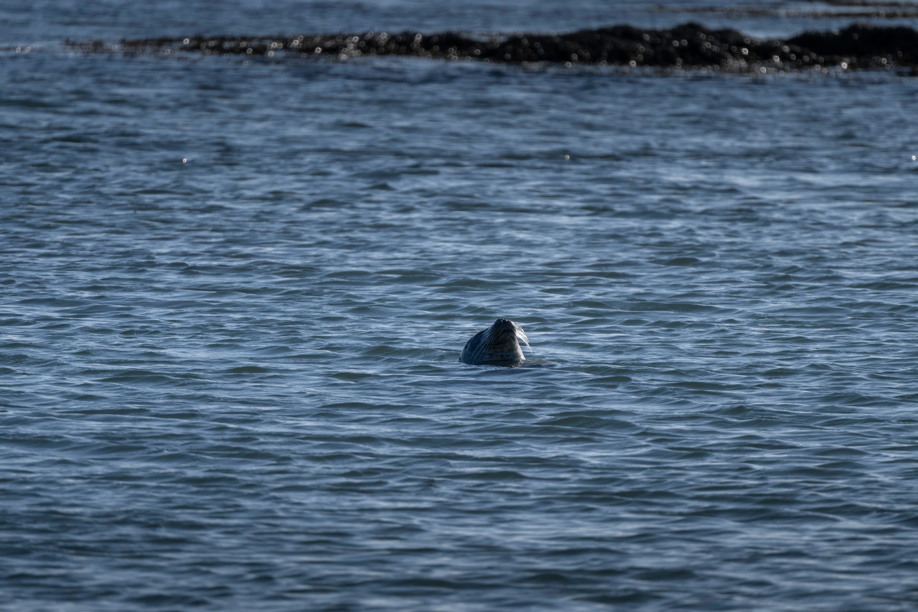 Small group Tour: Snæfellsnes Peninsula and Lava Cave - photo 2