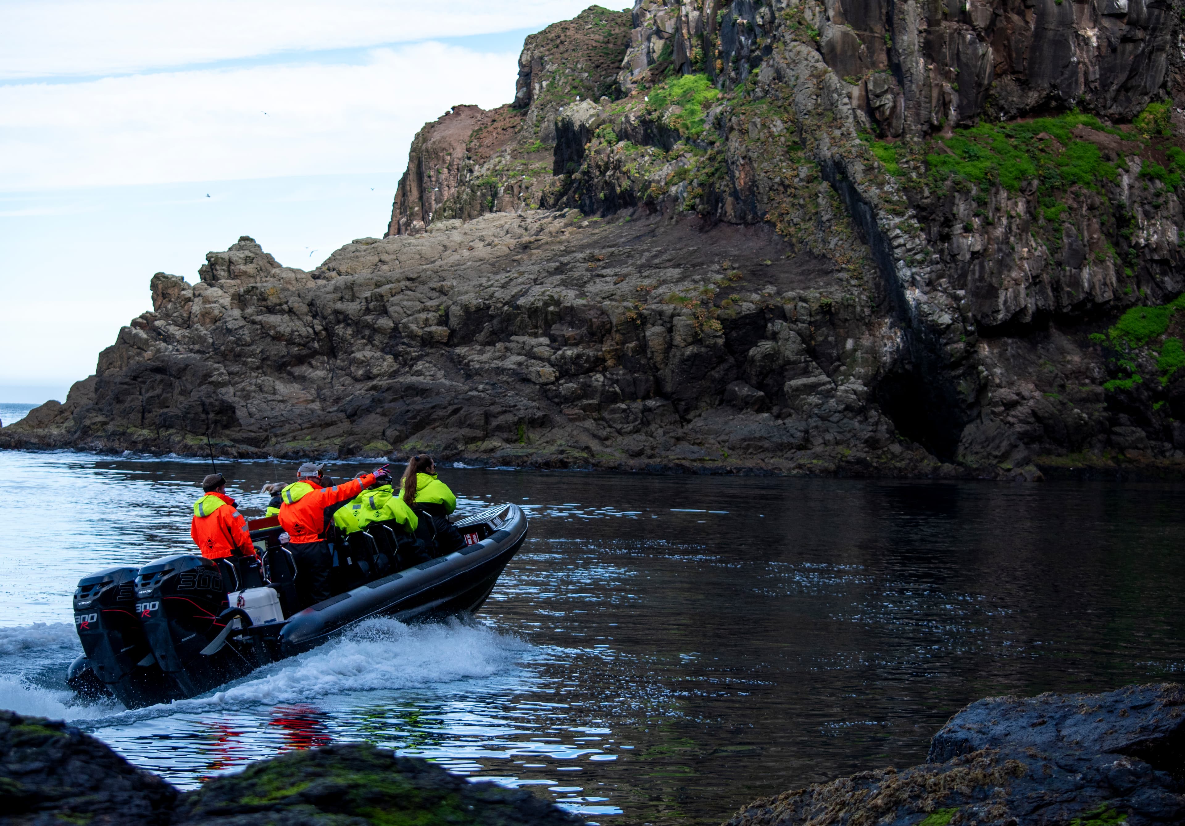 Puffin Quest - photo 5