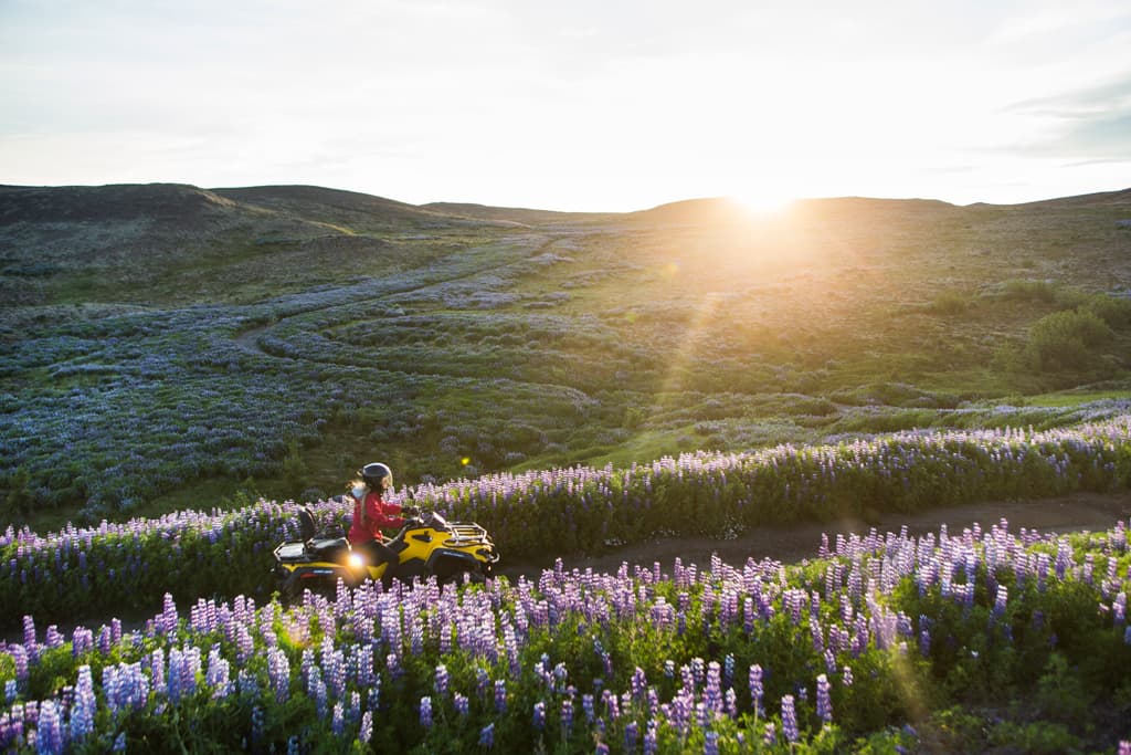 2 Hour Twin Peaks ATV - photo 14