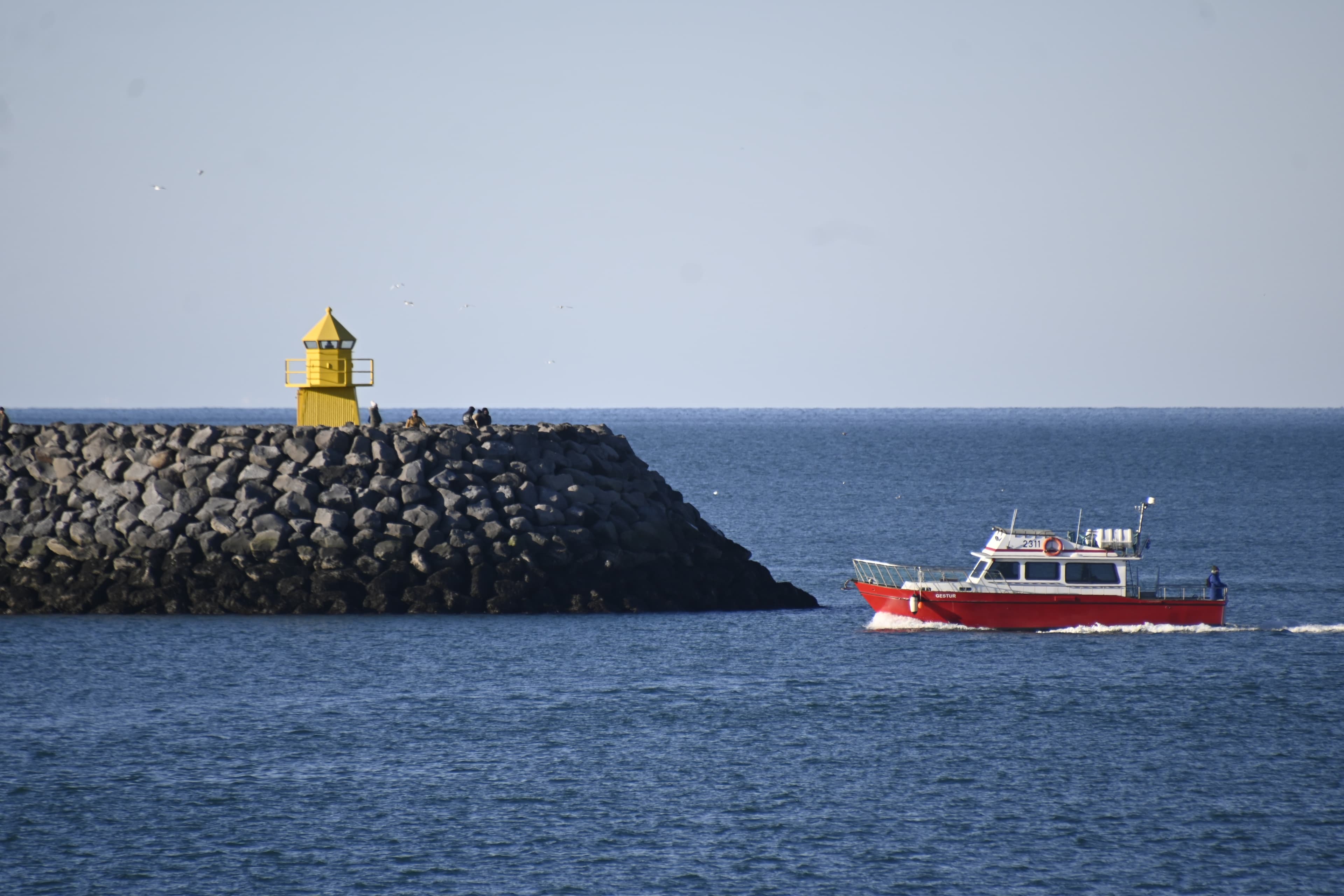 Viðey Ferry - from Skarfabakki - photo 2