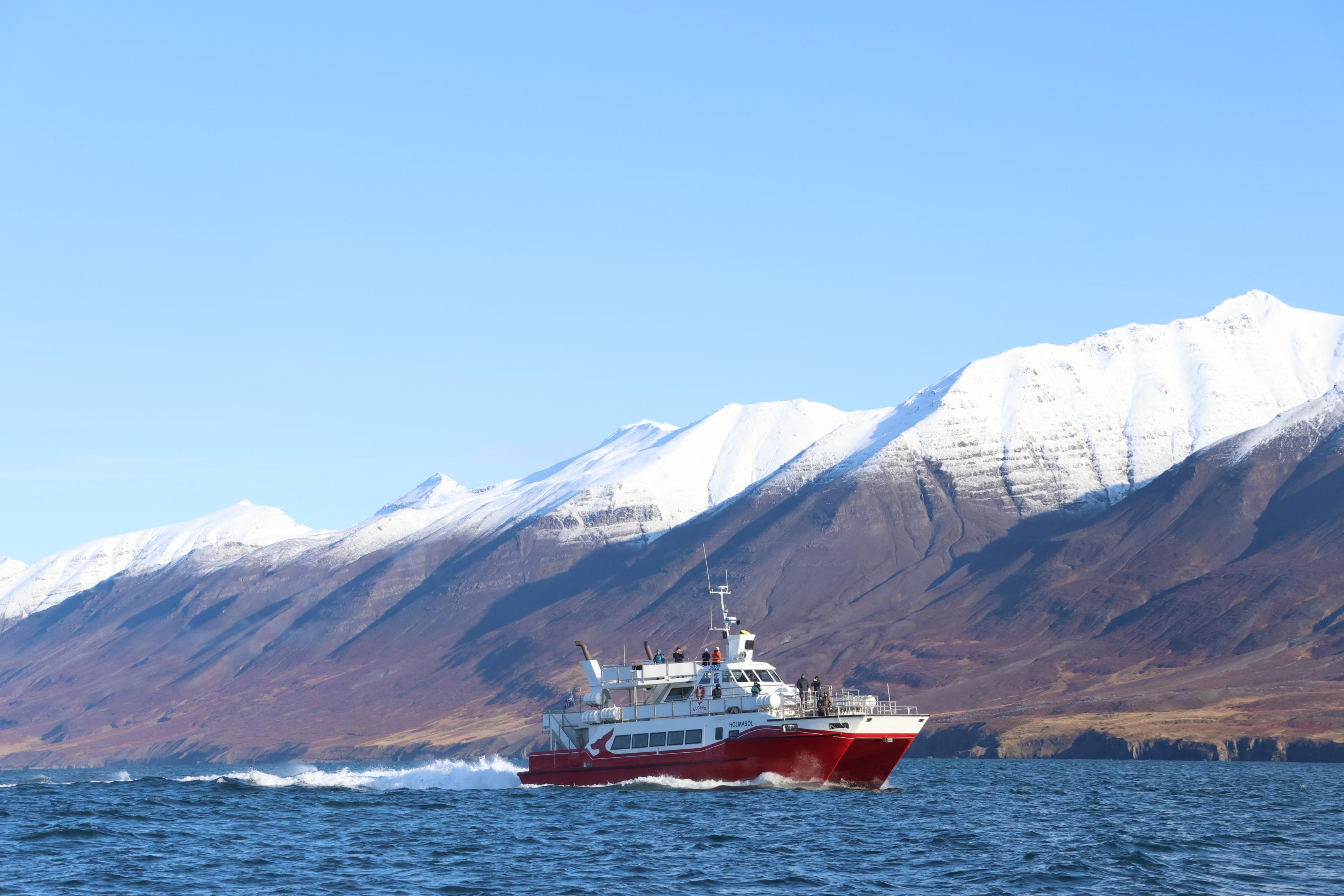 Akureyri Classic Whale Watching - photo 11