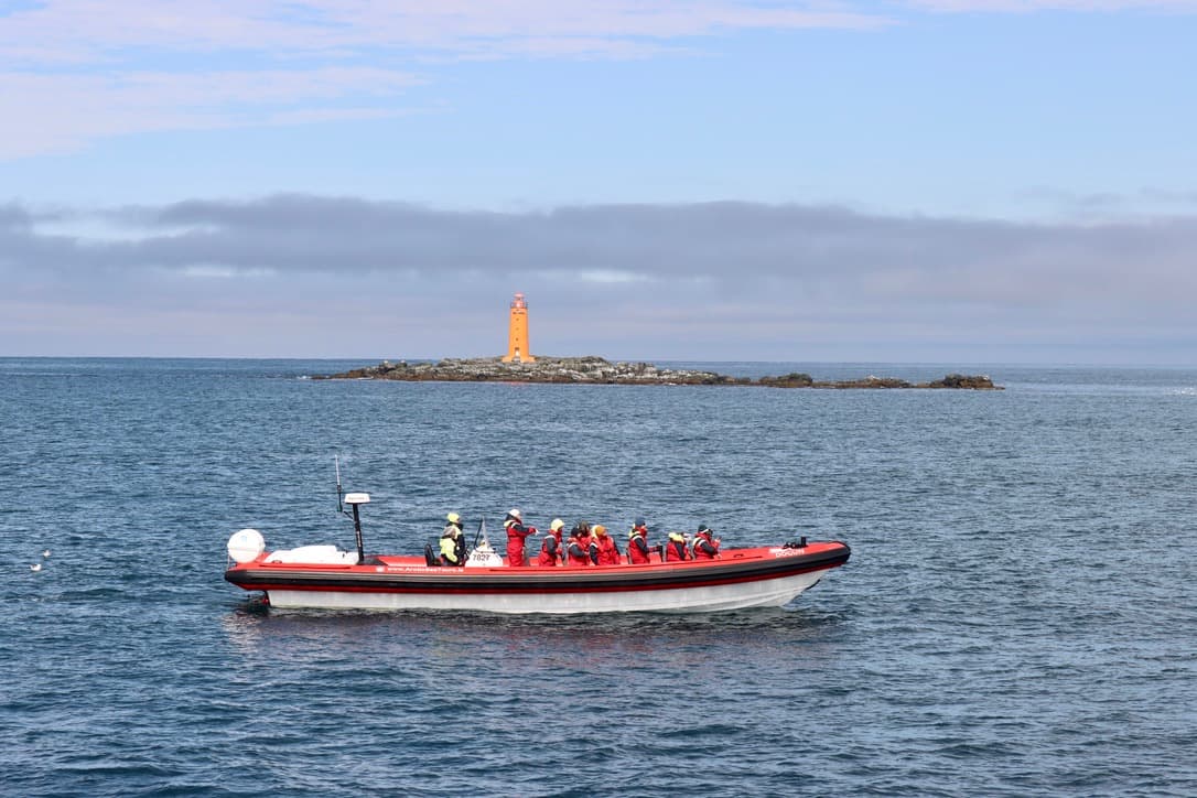 Express Whale Watching From Dalvík - photo 9