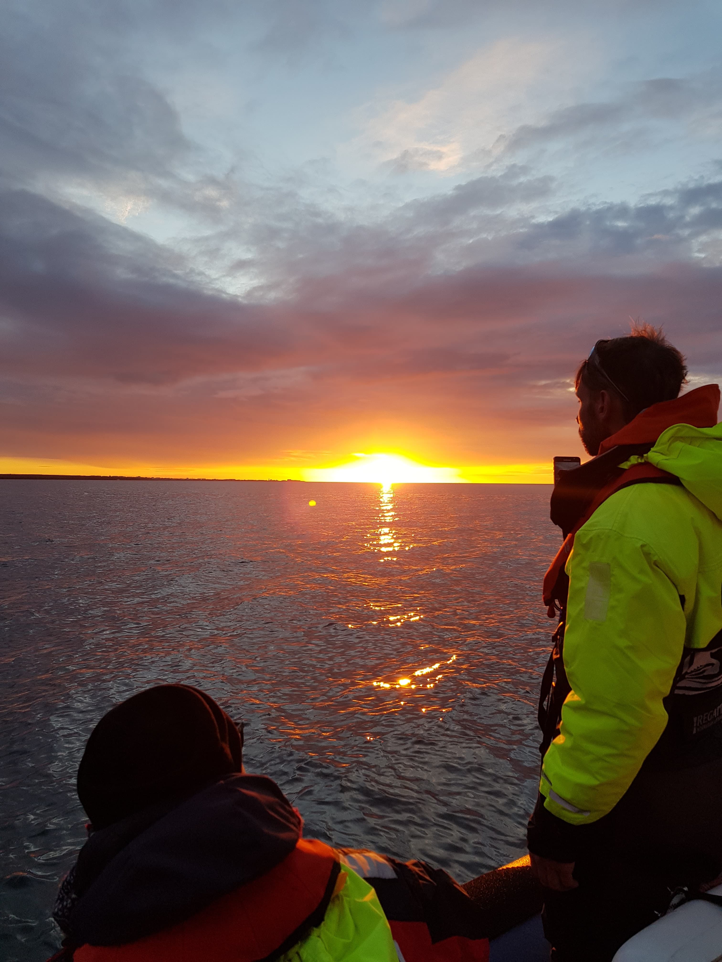 Premium Whales & Midnight Sun - photo 3