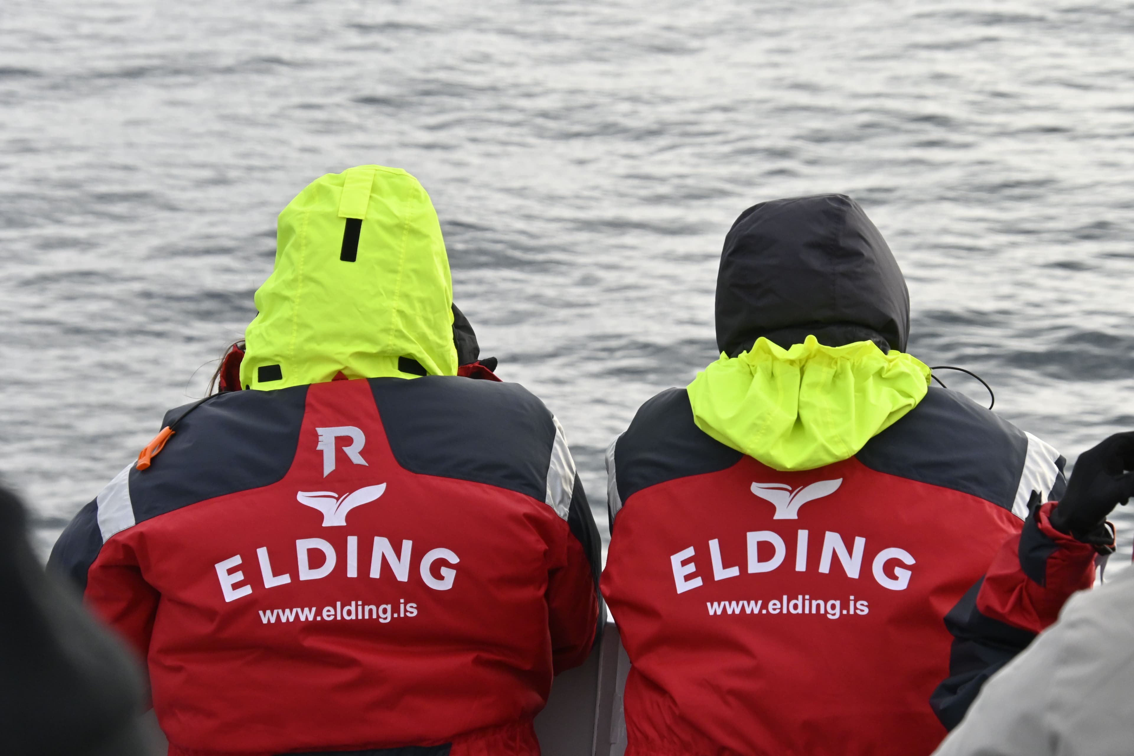 Reykjavík Whales & Northern Lights - photo 23