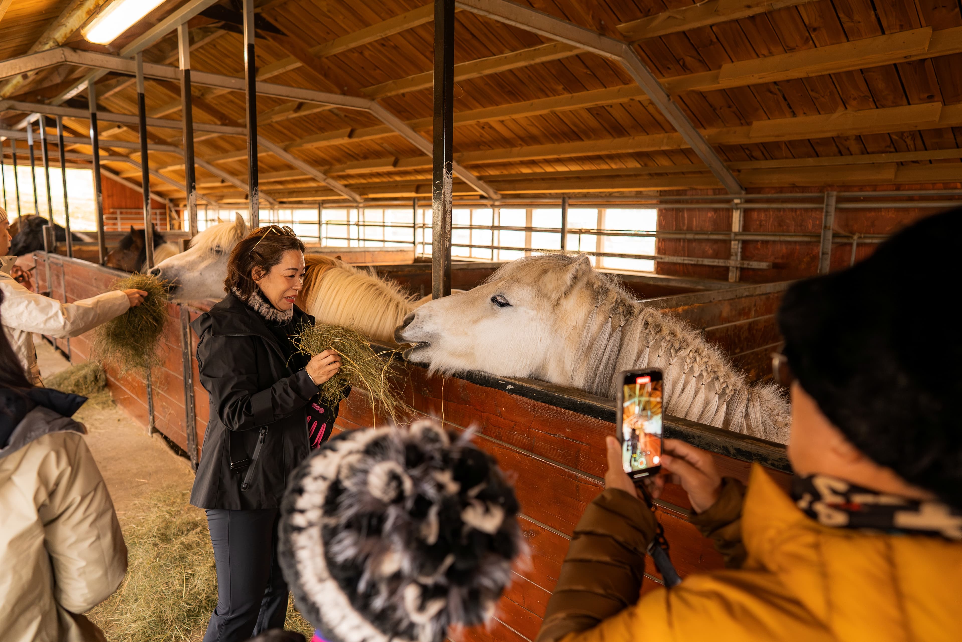 Into the Glacier & Silver Circle - photo 3