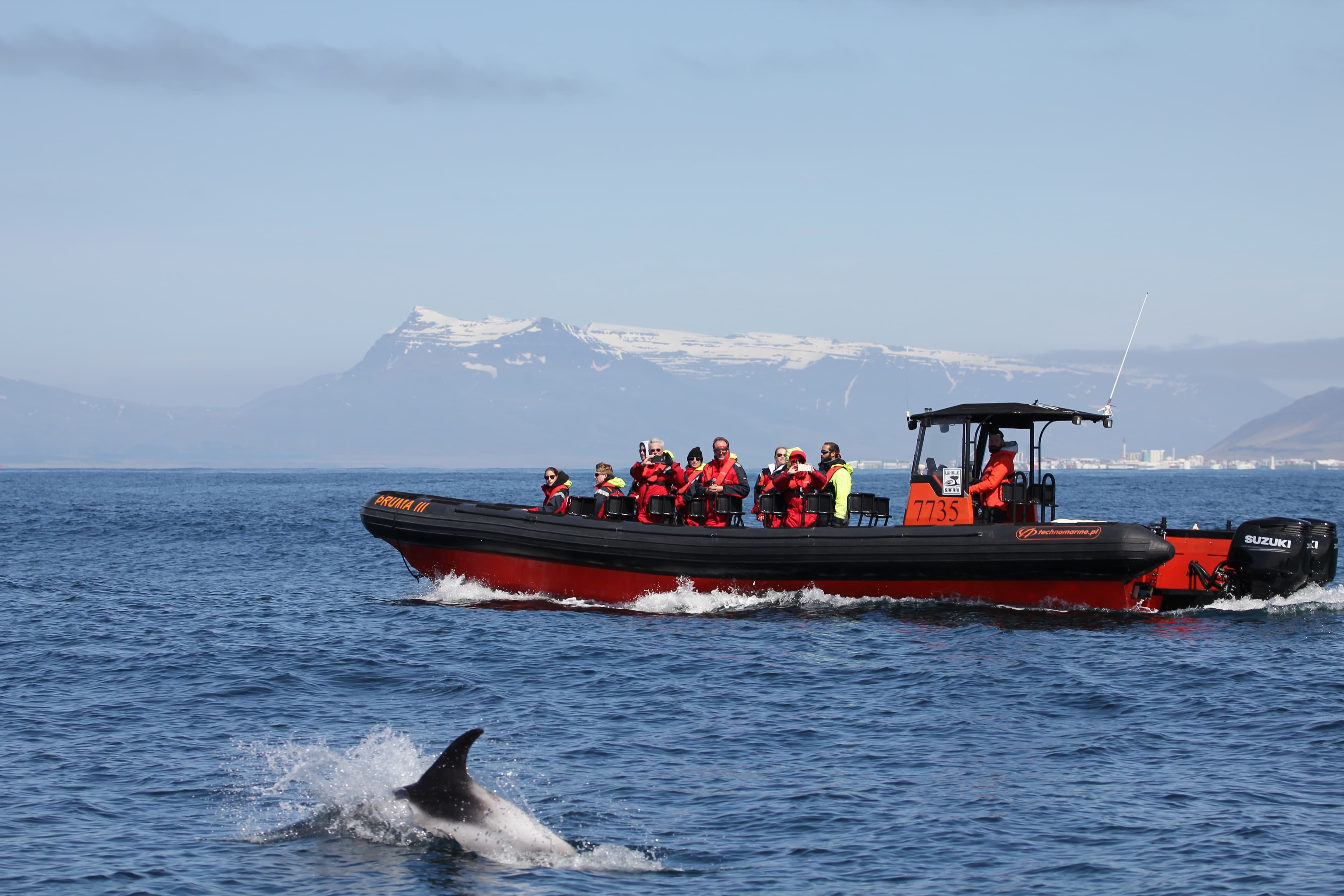 Whales, Puffins & Reykjavík - photo 8