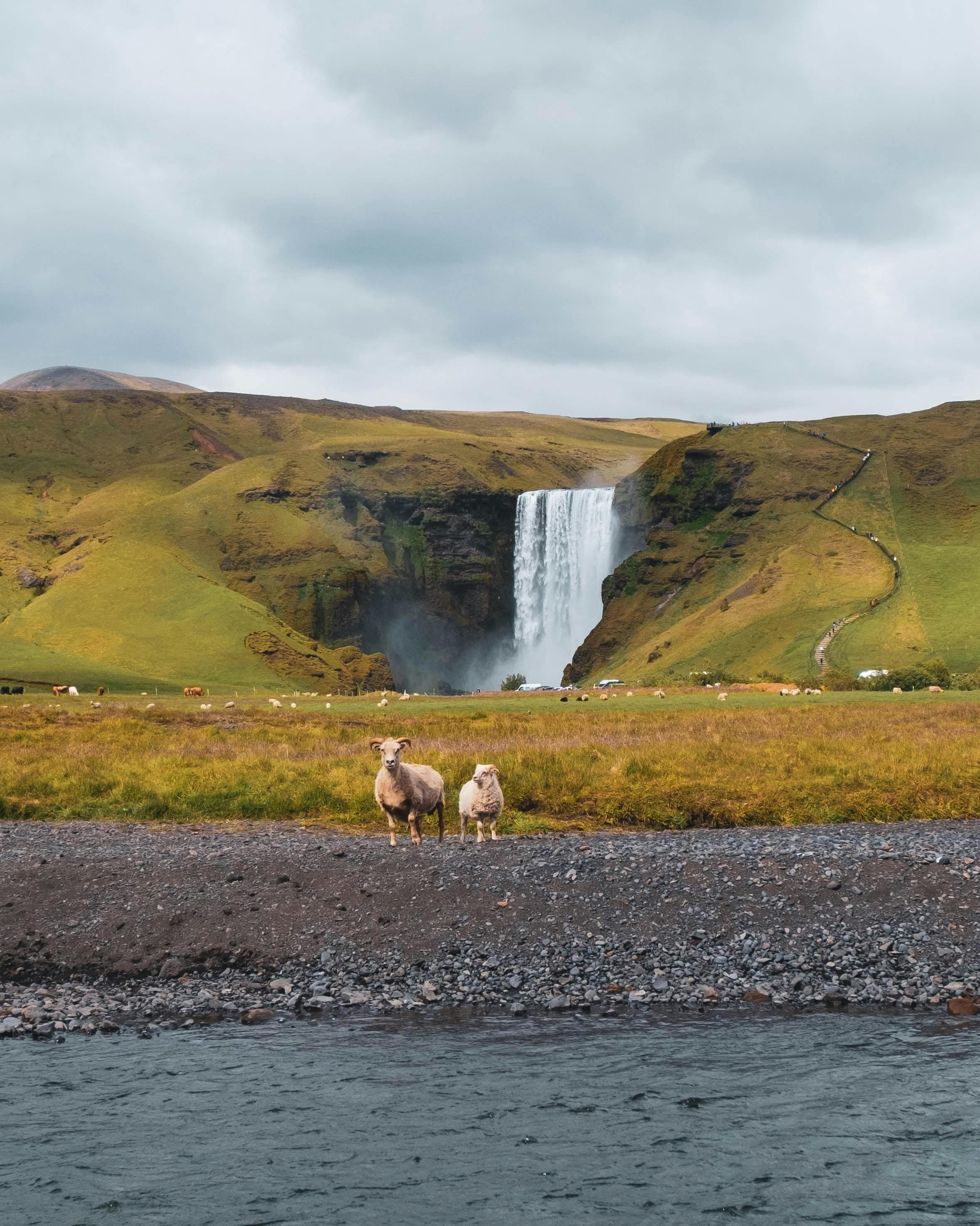 Private South Coast Tour with Jokulsarlon & Diamond Beach - photo 15