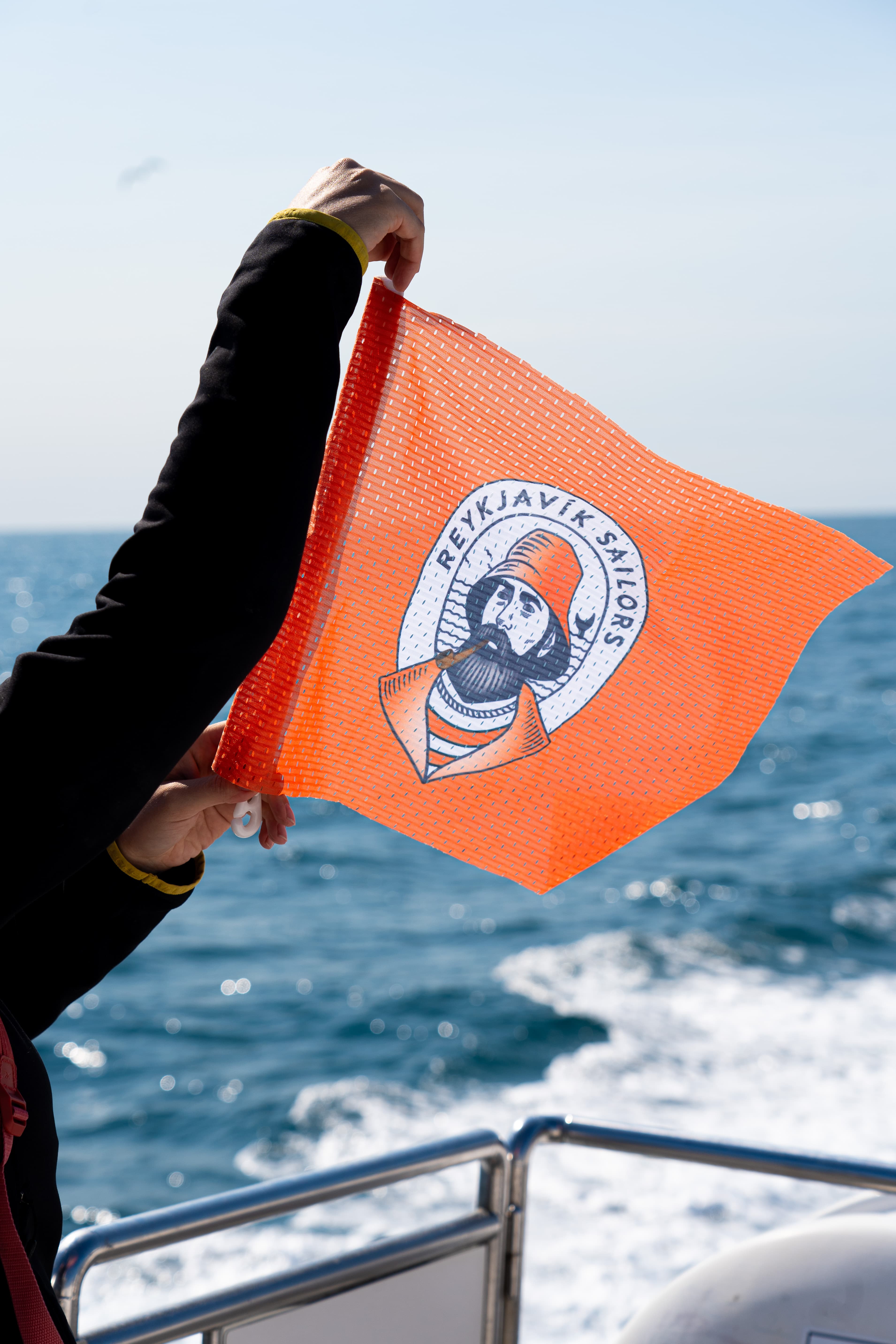 Best Value Whale Watching tour from Reykjavik - photo 8