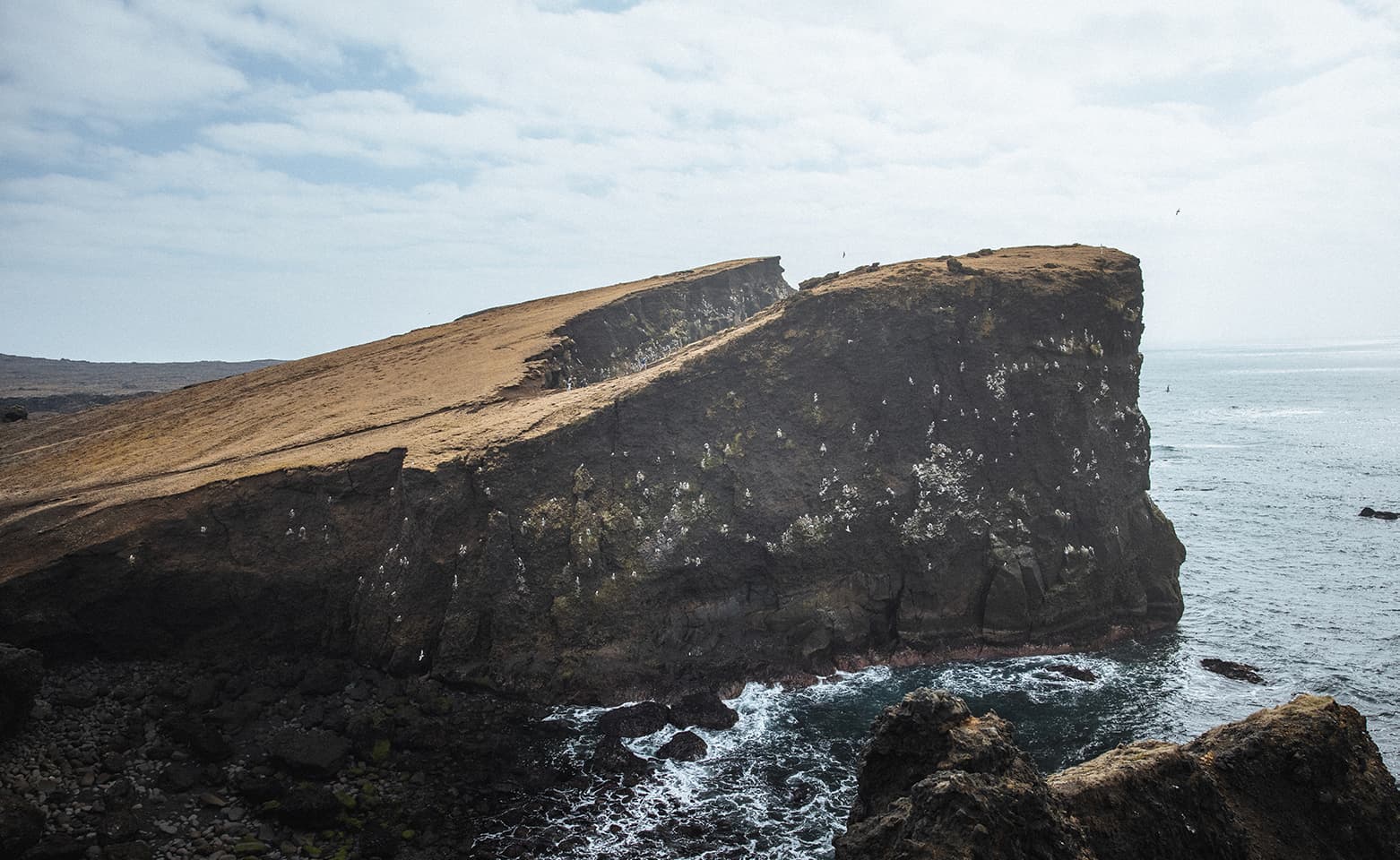 Reykjanes Peninsula | Private Tour | Photo Package Included - photo 26