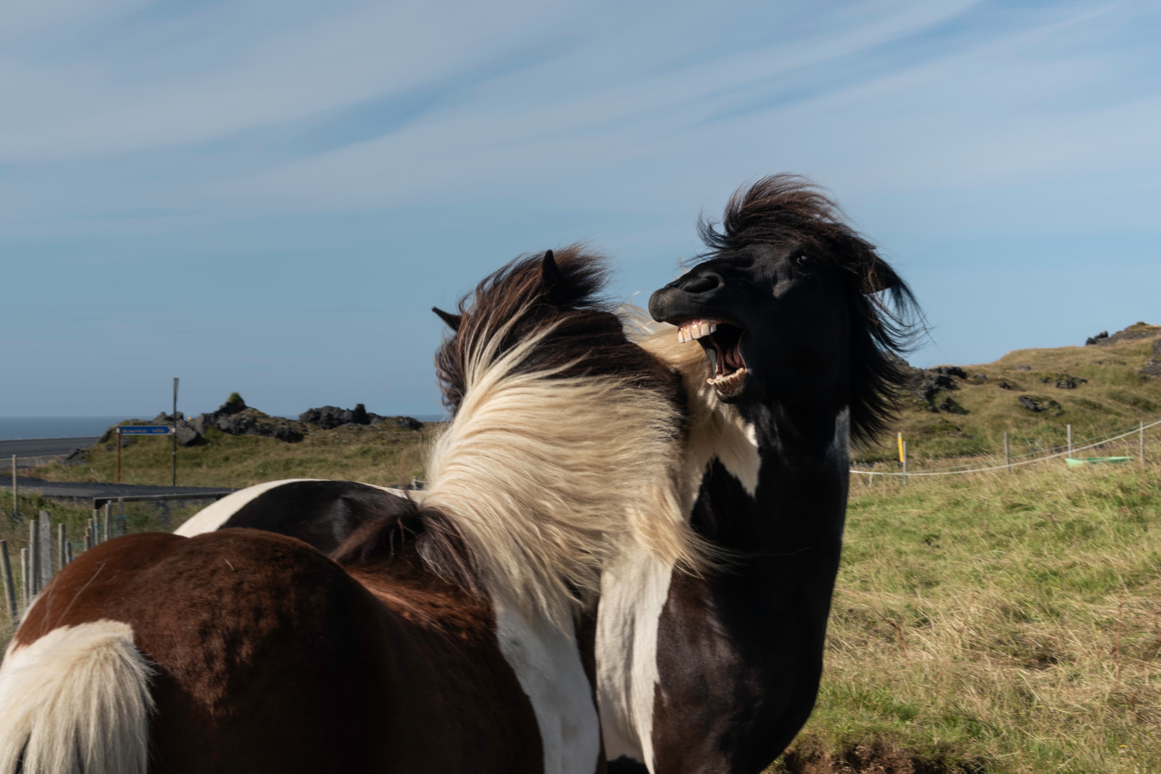 Private SuperJeep tour to the Westman Islands: History and Natural Wonders - photo 5