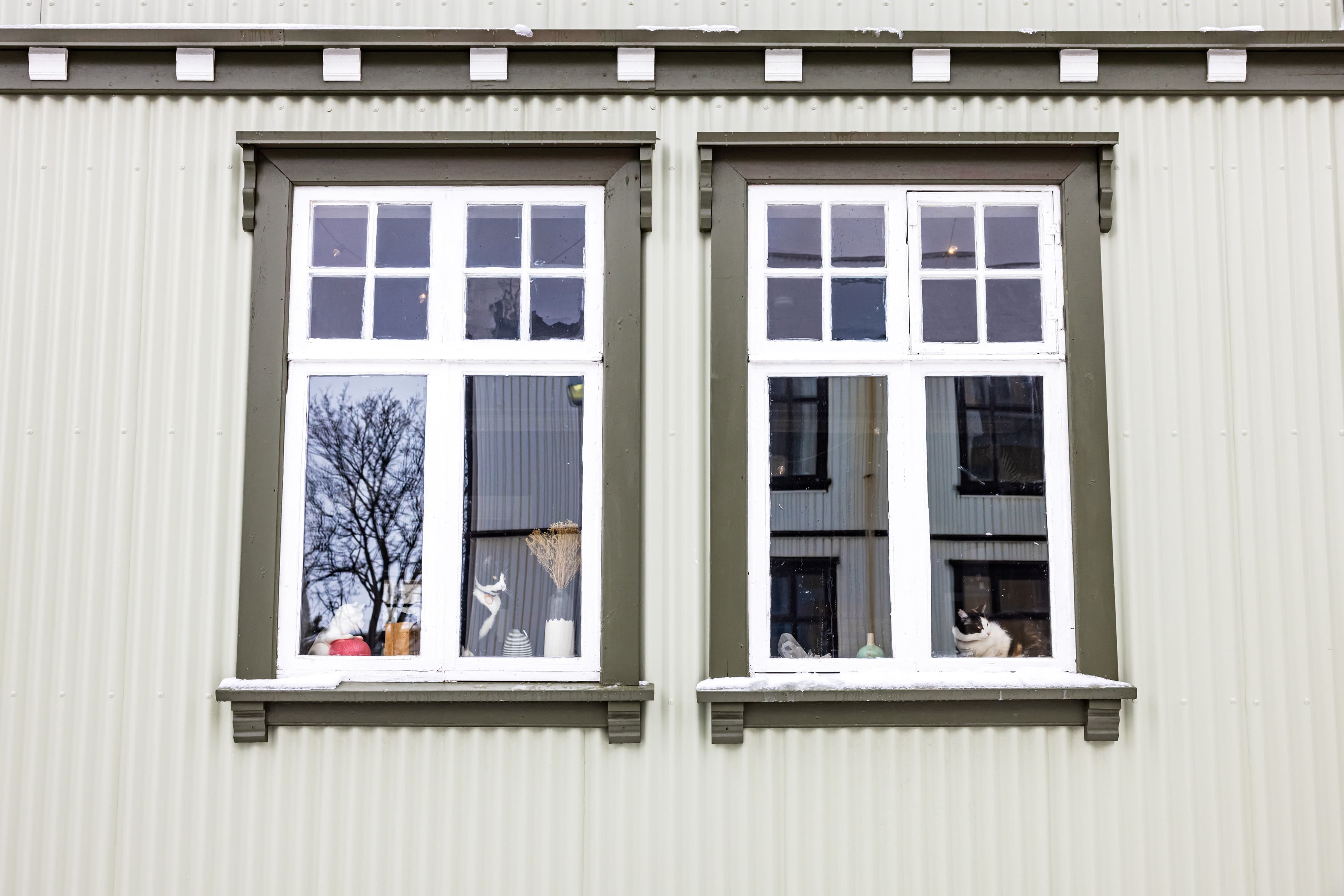 The Reykjavik CatWalk - photo 12