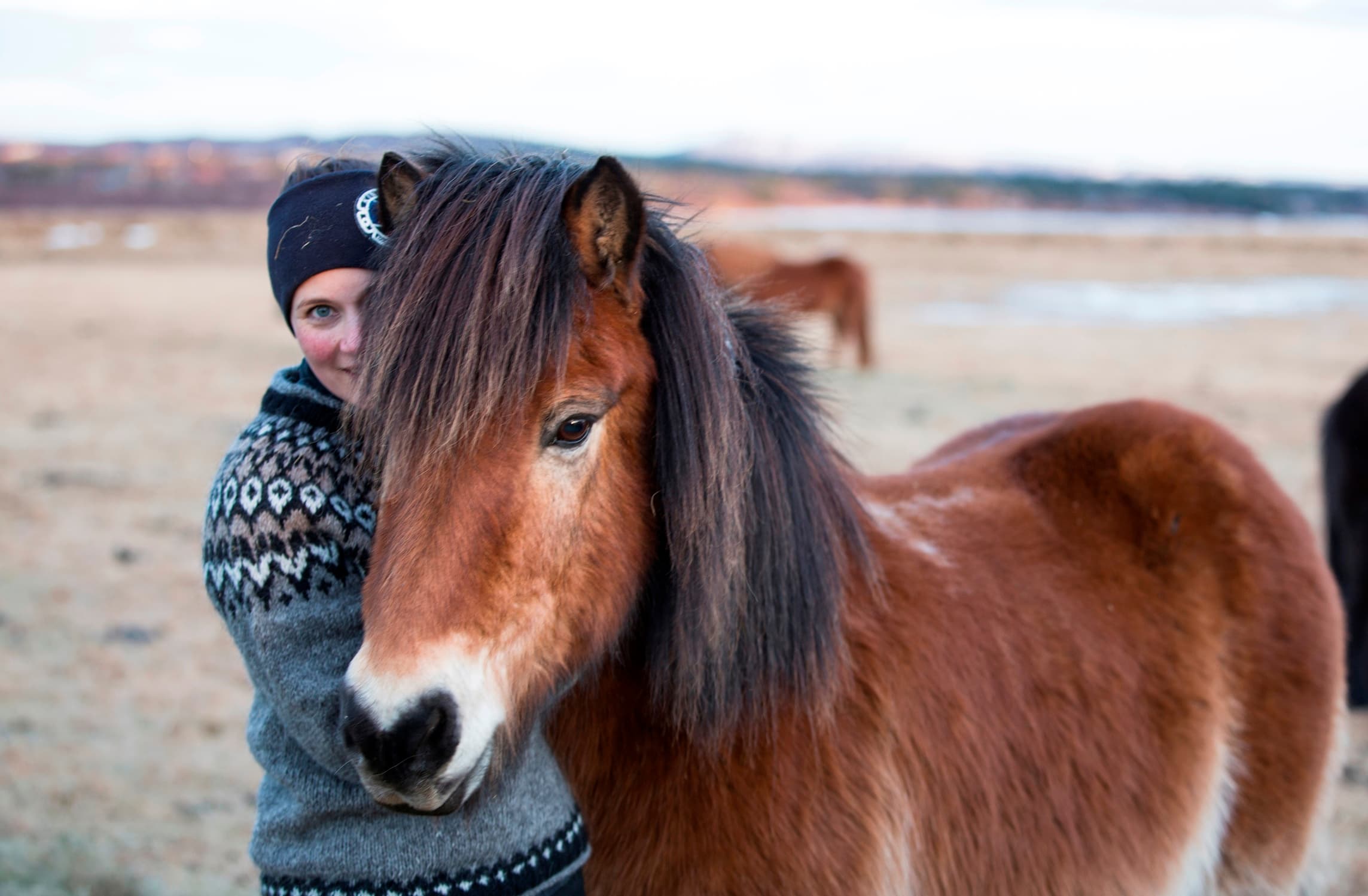 Reykjavík Sea Horse - photo 7
