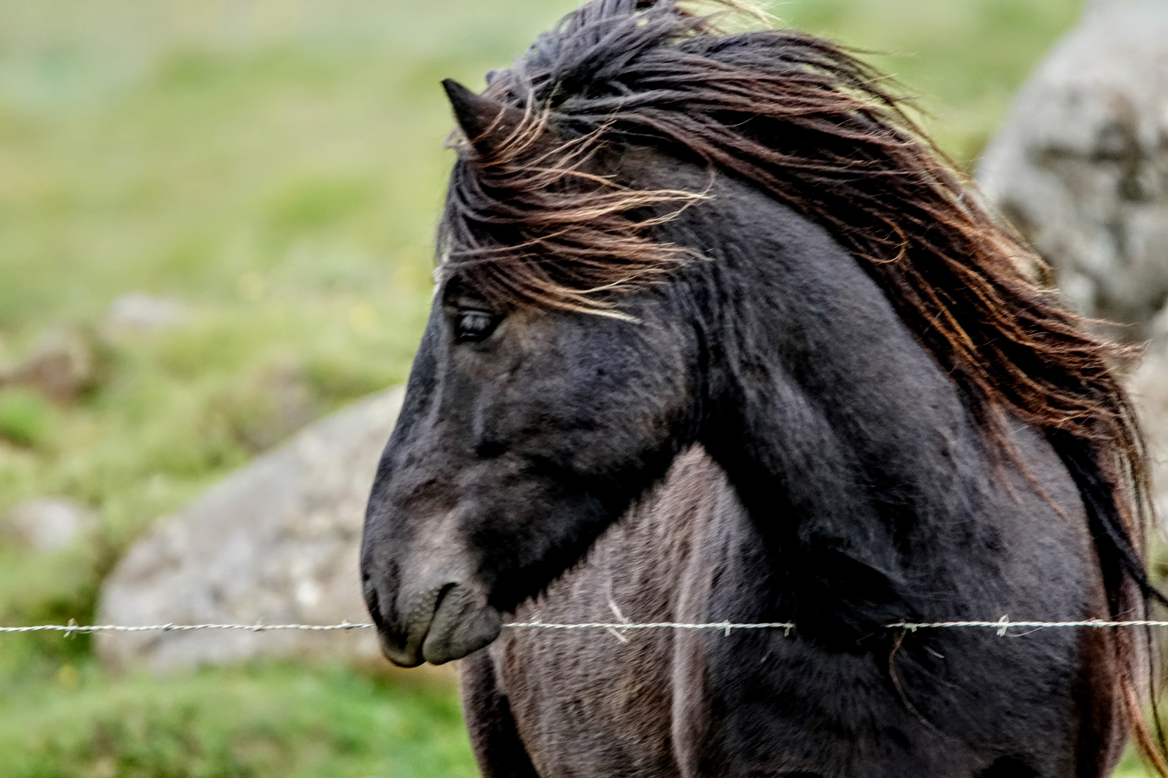 Private Day tour, you decide!  - photo 2