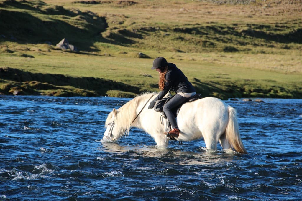 River Delta - photo 4