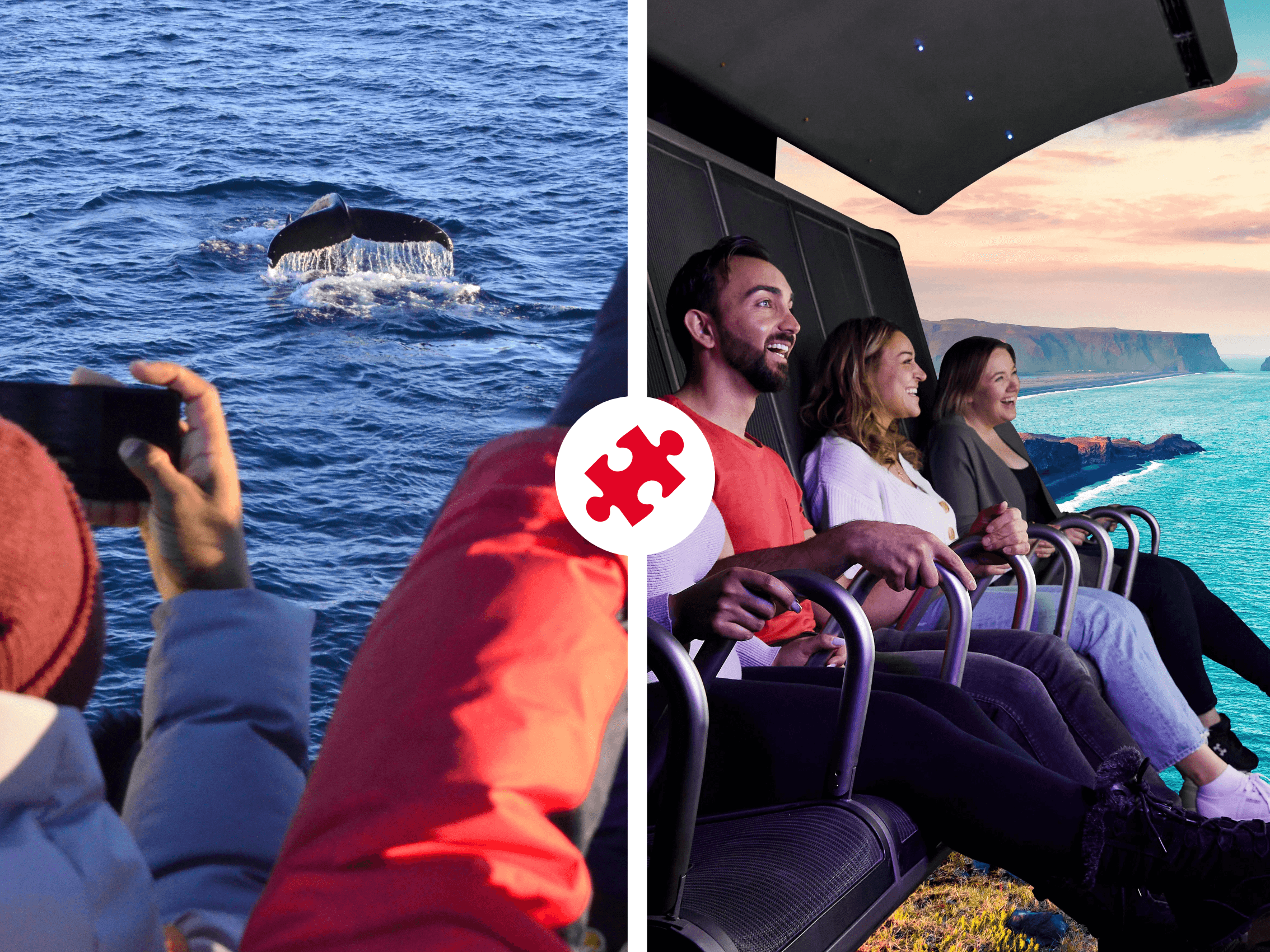 Whales & FlyOver Iceland