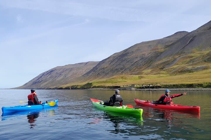 Private: Guided kayak tour in Siglufjörður / Siglufjordur. - photo 7