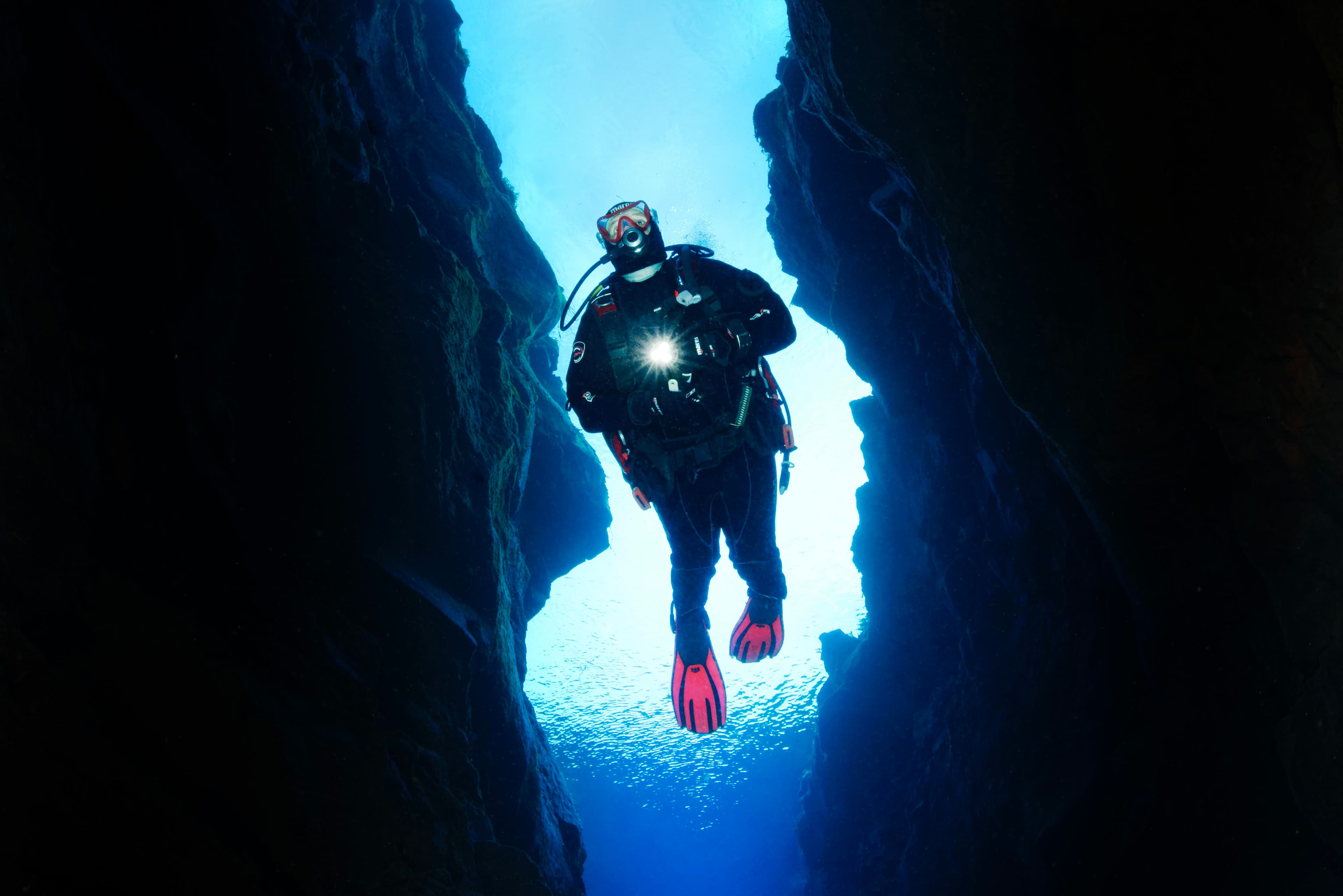 Reykjavík Whales & Diving - photo 7