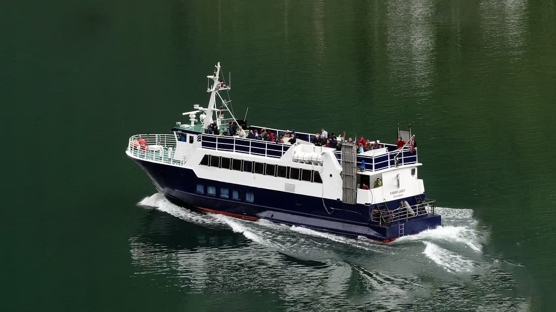 Whales & Waves: An Epic Marine Adventure Tour