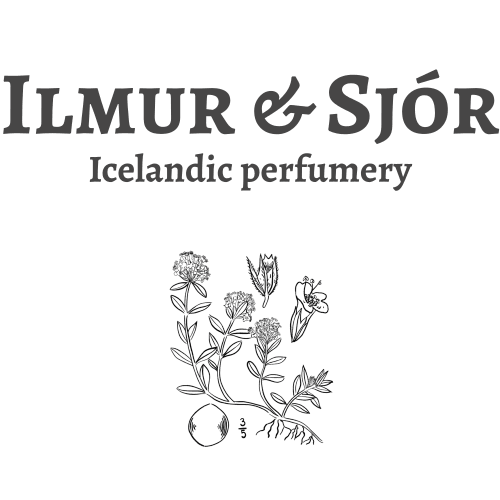 The Art of Natural Icelandic Perfumery Fragrance: Creation Workshop - photo 4