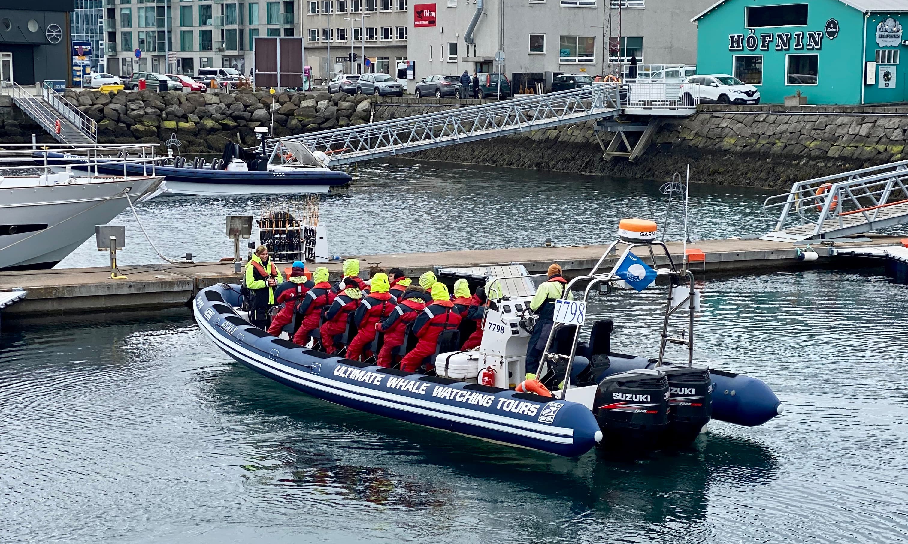 Reykjavík Premium Whale Watching - photo 18