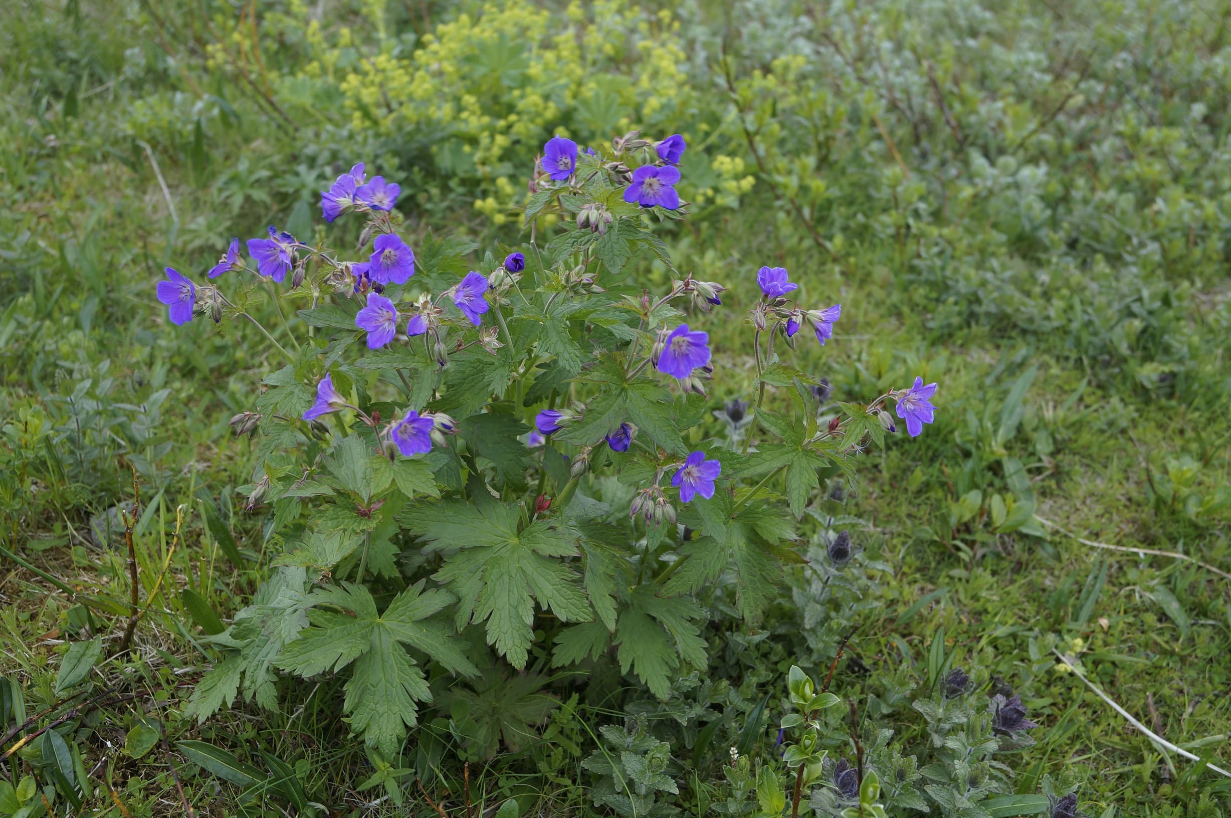 Private Day tour, you decide! 