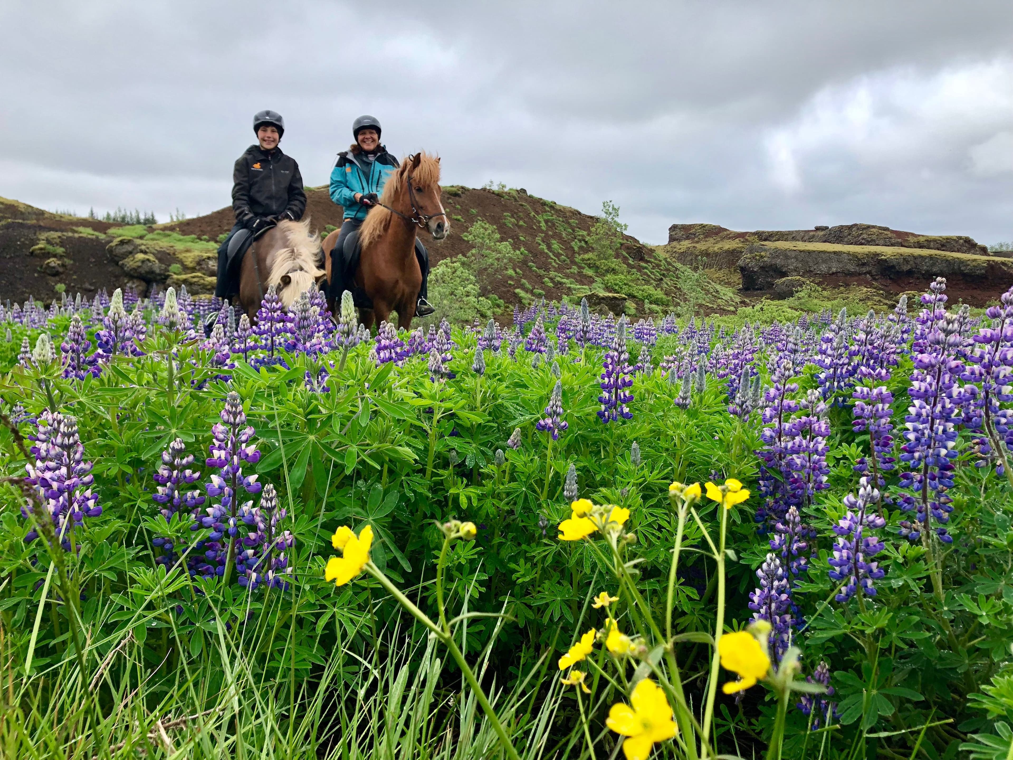 Horse Riding and Fly-Over Iceland - photo 3