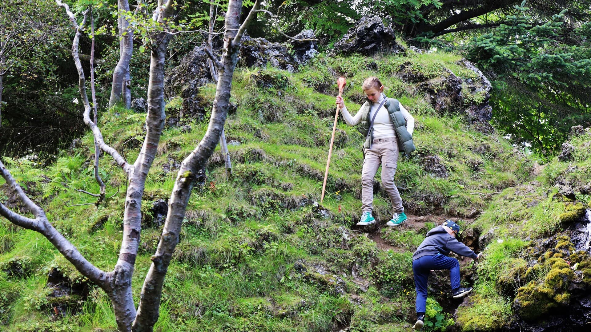 Elves & Nature Reykjavik Driving Tour - photo 9