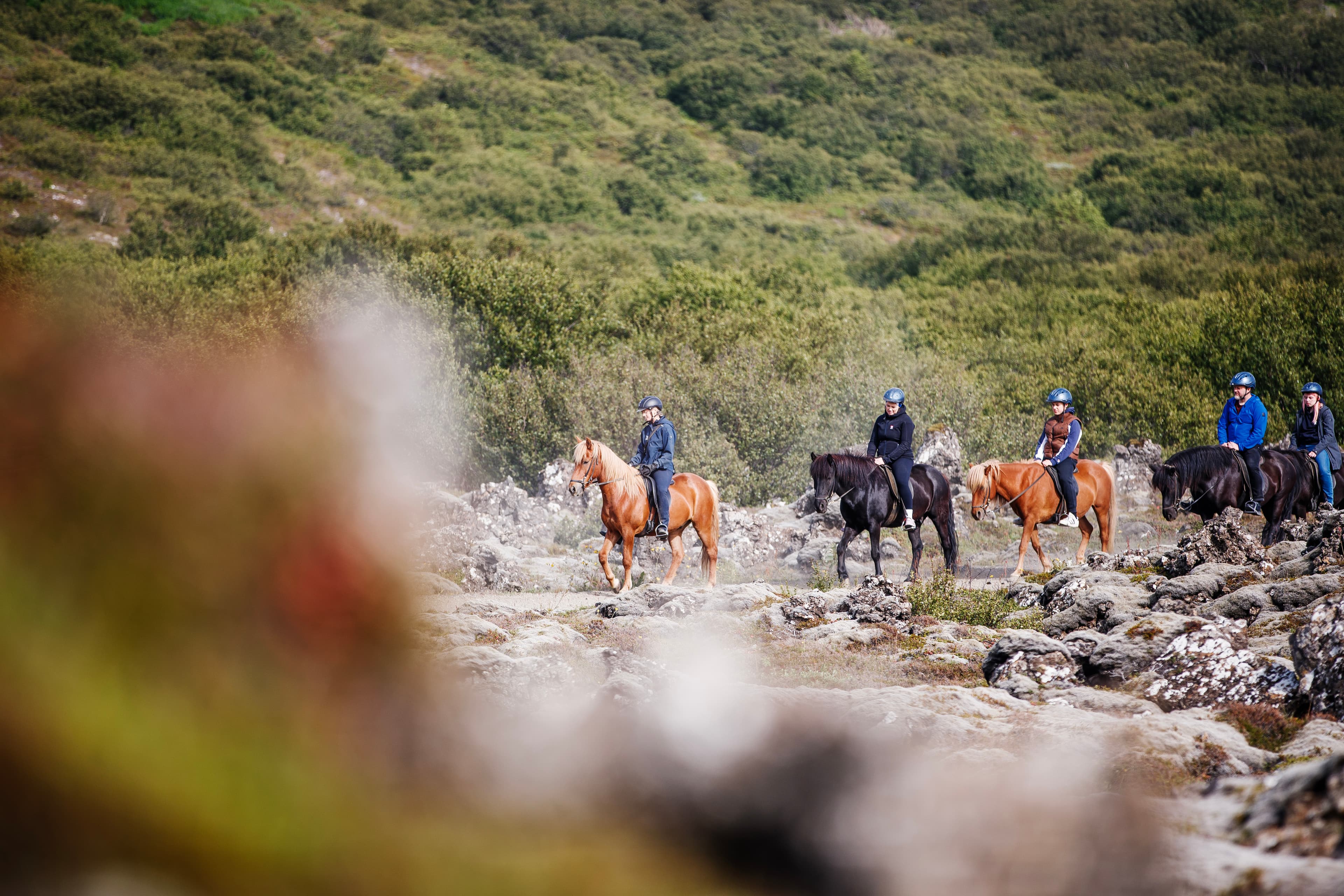 Lava Tour - Horseback Riding through the Lava Fields - photo 22