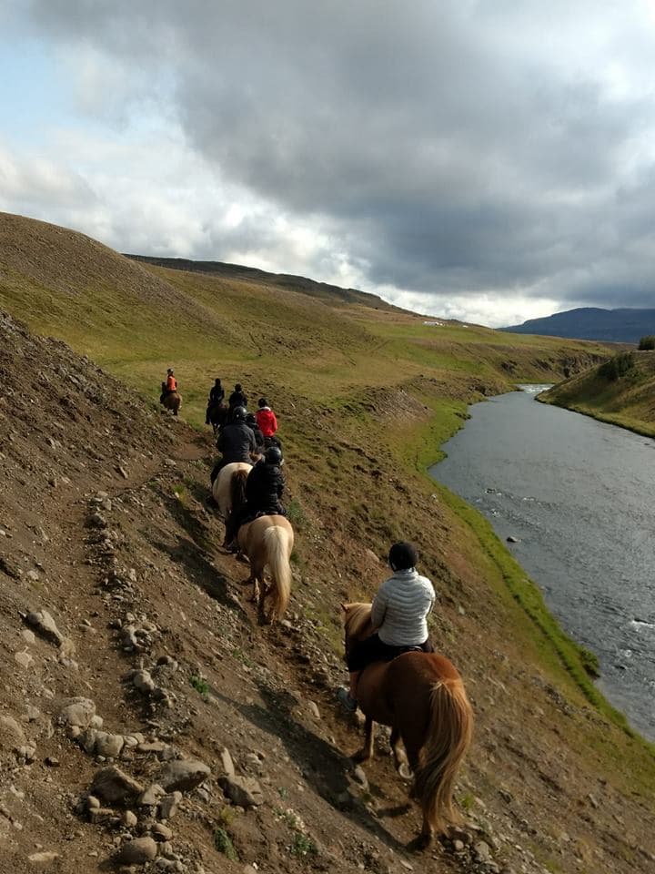 The Viking-Ride- All in One - photo 4