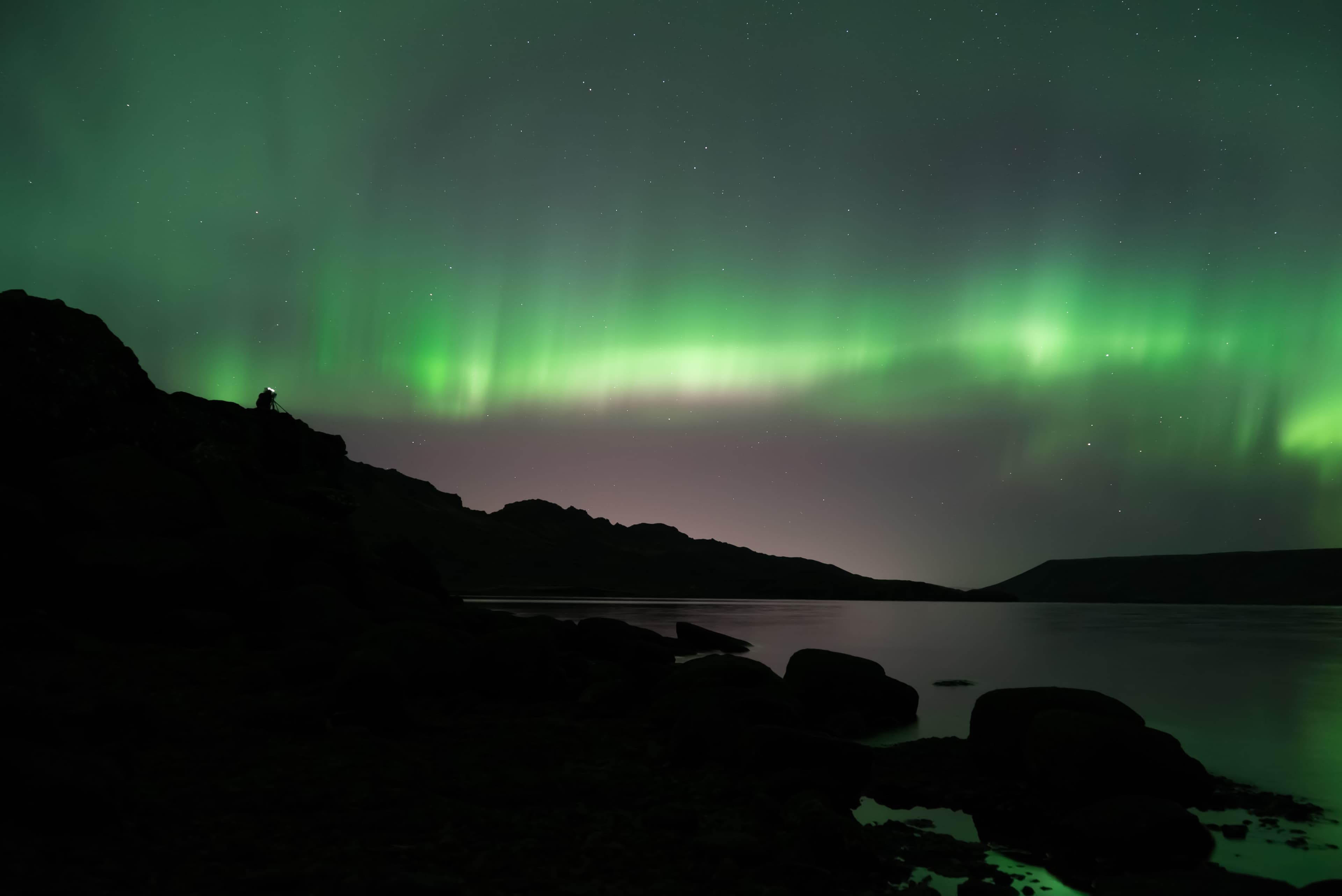 Whale Watching and Northern Lights from Reykjavík - photo 7