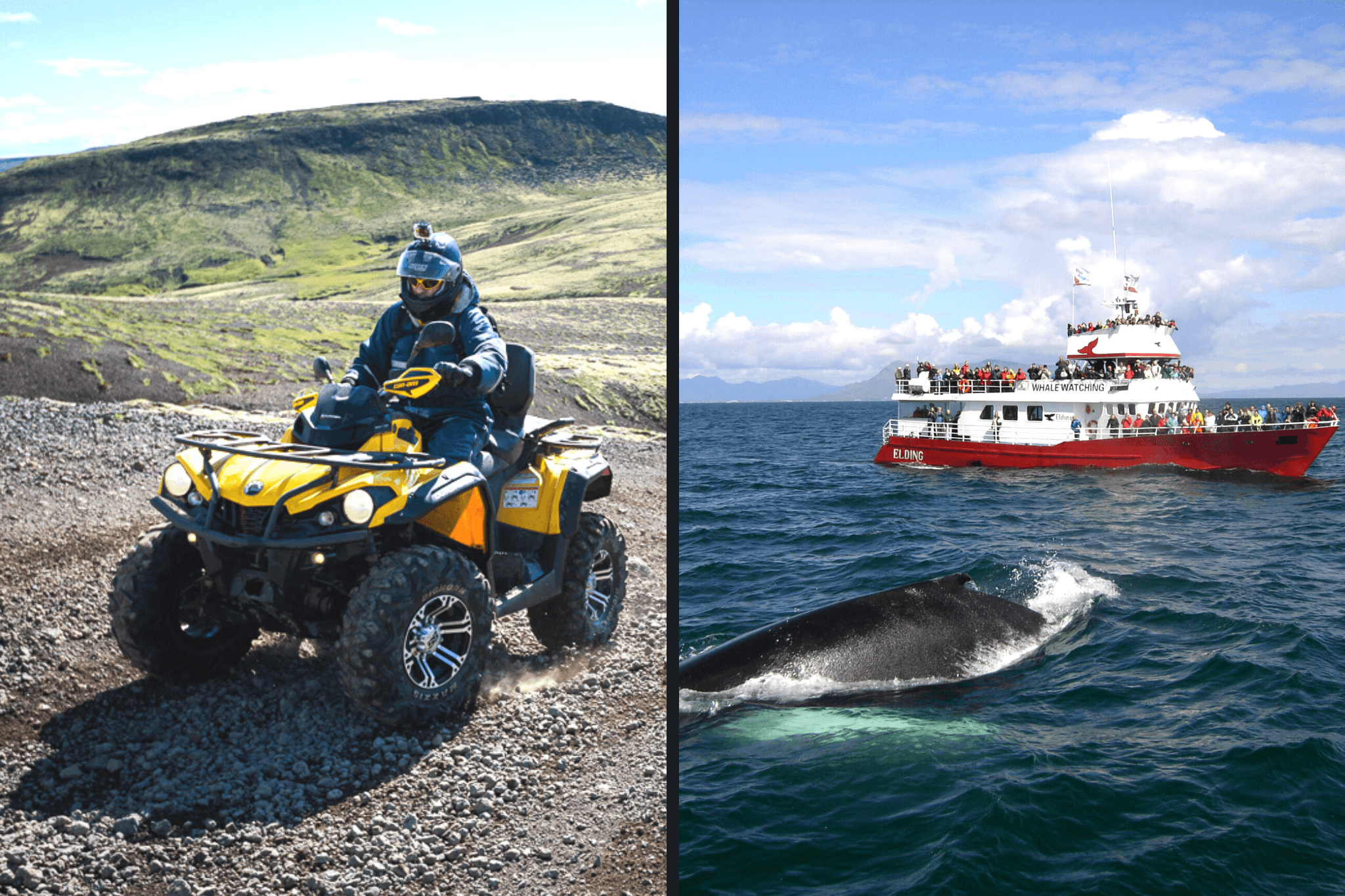 ATV & Whale Watching