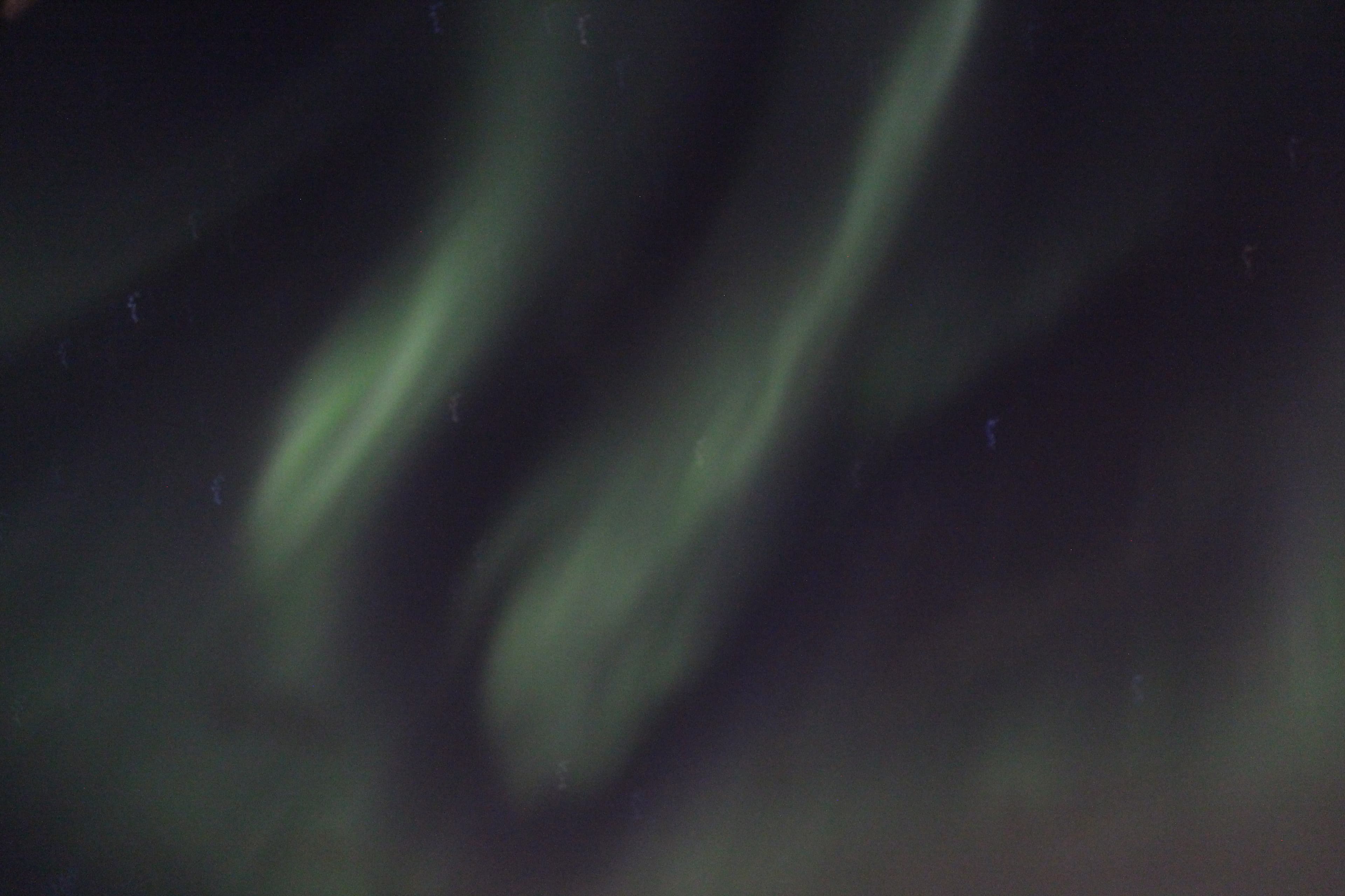Whale Watching & Northern lights Combo Cruise from Reykjavik - photo 65